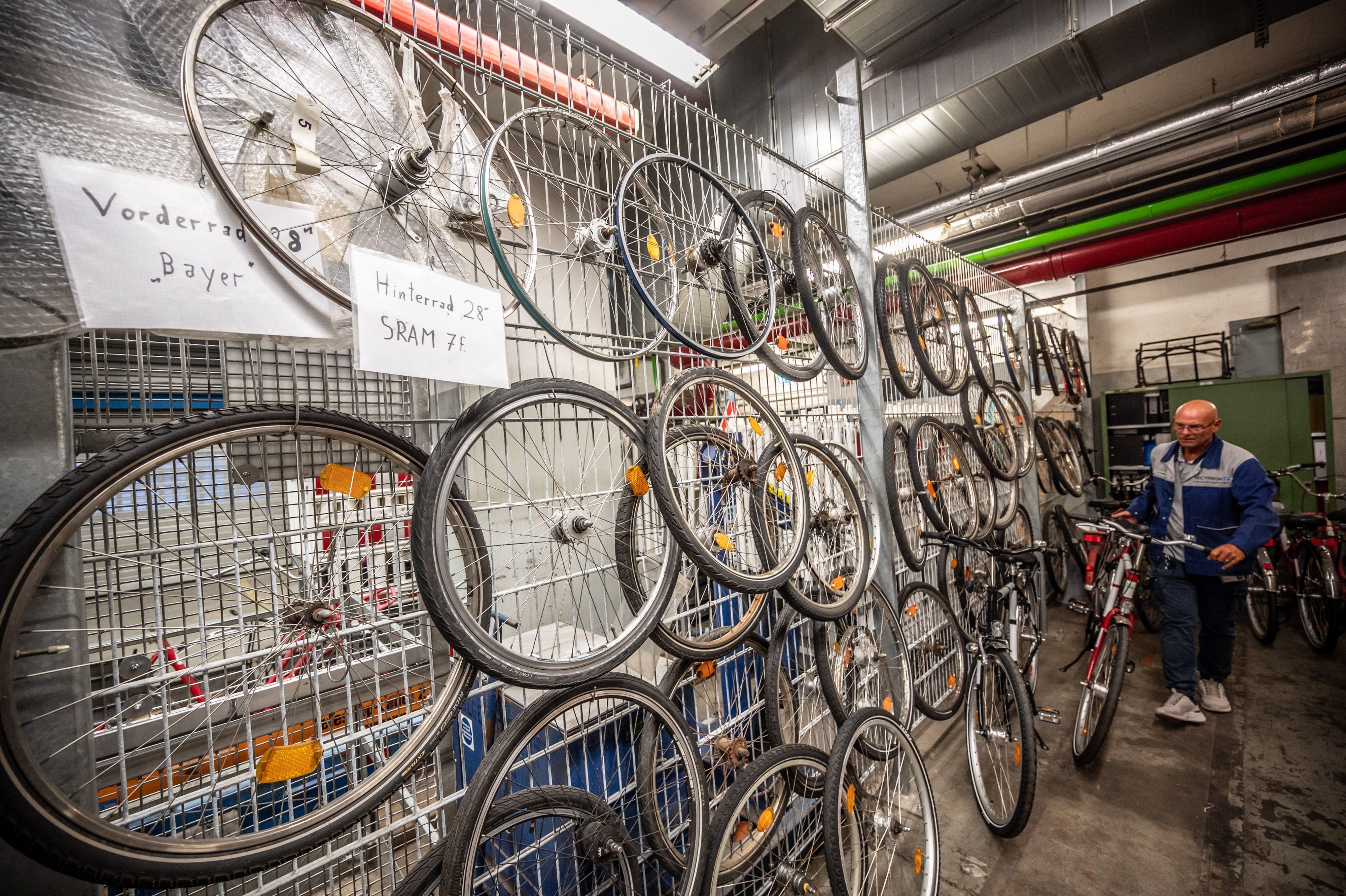 Vorrat hinter Stahlgitterzaun: Verschiedene Radtypen hängen hinterm Stahlgitterzaun gesichert auf Vorrat in der Fahrradwerkstatt.