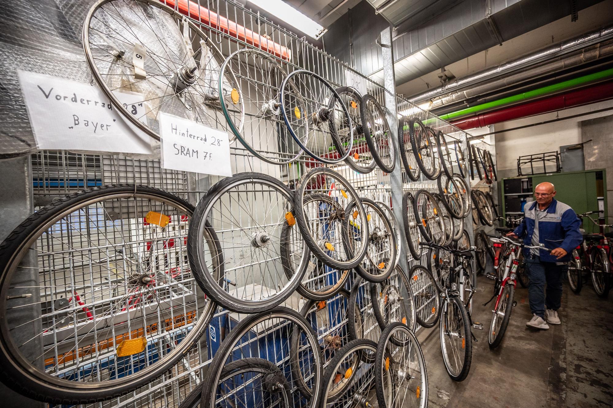 Vorrat hinter Stahlgitterzaun: Verschiedene Radtypen hängen hinterm Stahlgitterzaun gesichert auf Vorrat in der Fahrradwerkstatt.