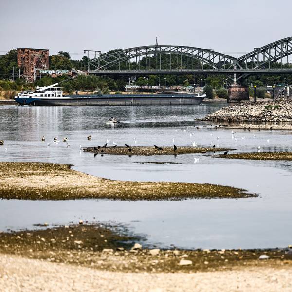 dpatopbilder - 31.07.2026, Nordrhein-Westfalen, Köln: Ein Binnenschiff fährt bei niedrigem Pegelstand unter der Südbrücke über den Rhein. Foto: Oliver Berg/dpa +++ dpa-Bildfunk +++