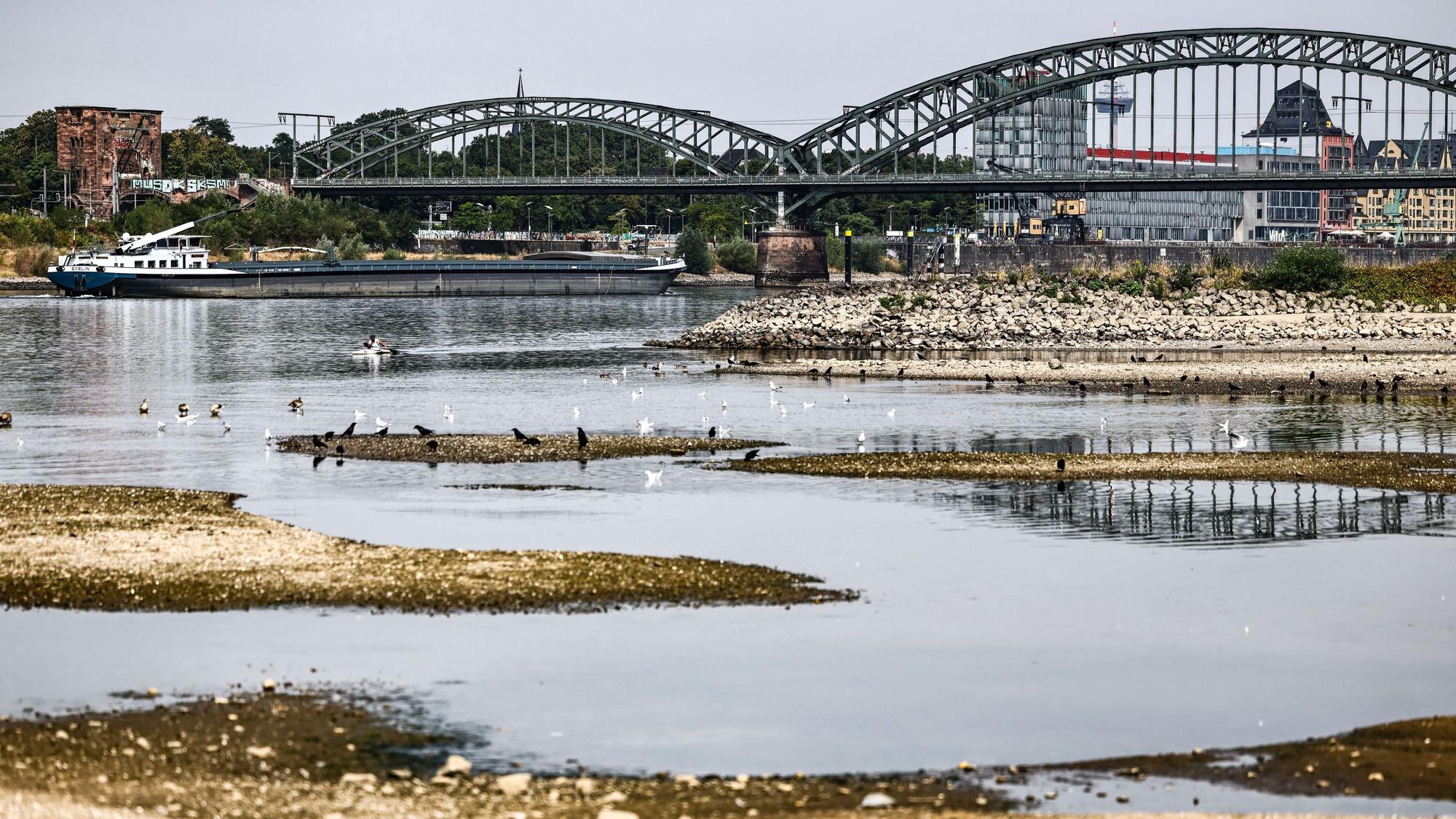 Ein Binnenschiff fährt am 31. Juli bei niedrigem Pegelstand unter der Südbrücke über den Rhein.