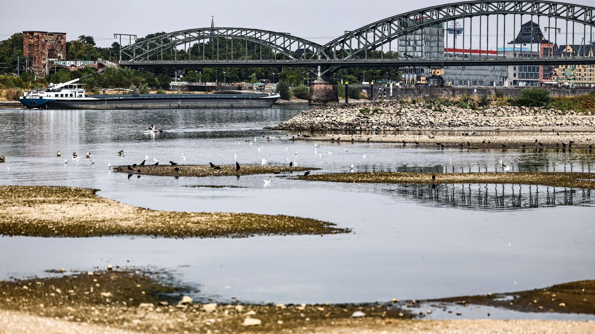 dpatopbilder - 31.07.2026, Nordrhein-Westfalen, Köln: Ein Binnenschiff fährt bei niedrigem Pegelstand unter der Südbrücke über den Rhein. Foto: Oliver Berg/dpa +++ dpa-Bildfunk +++