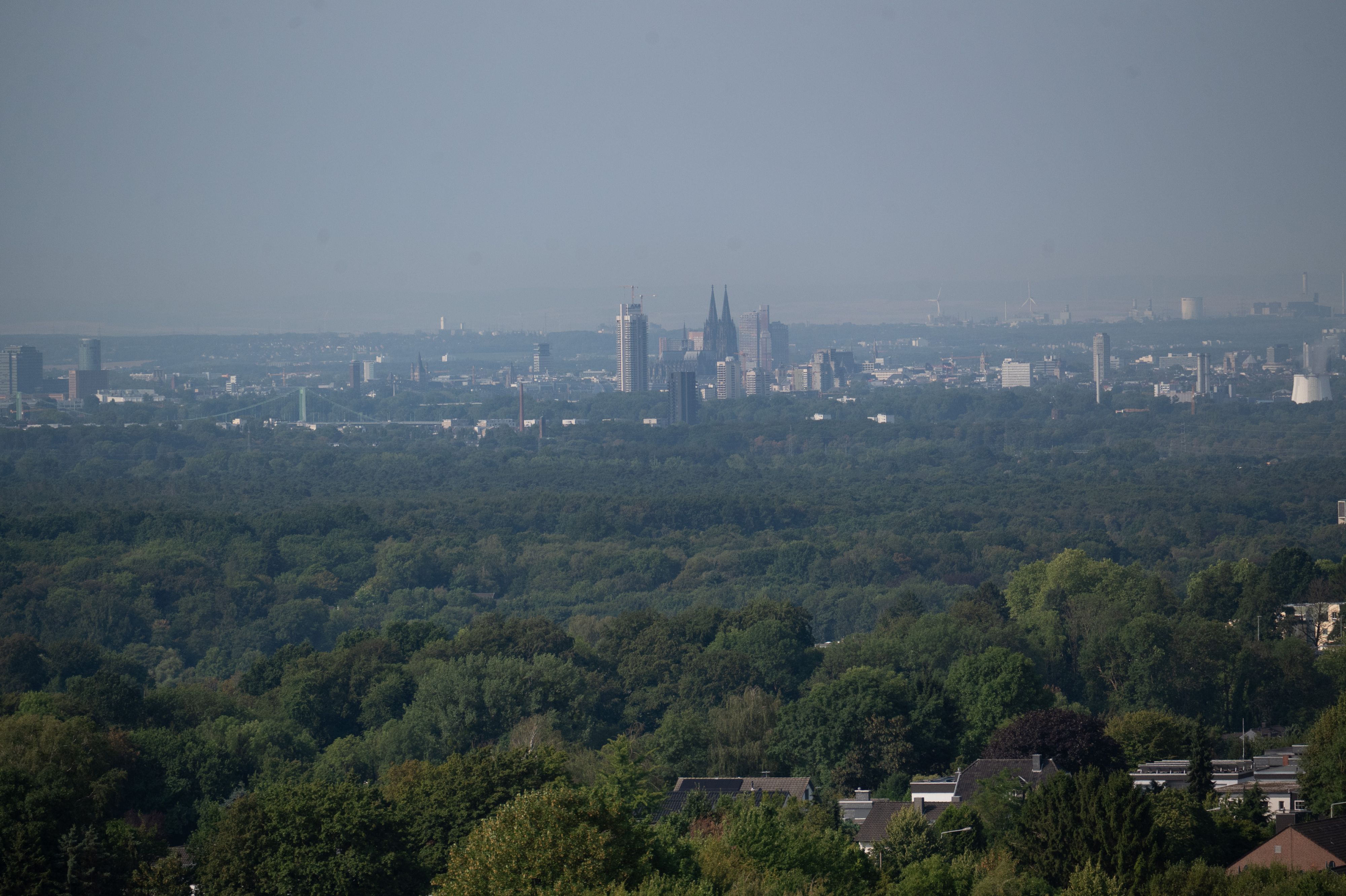 Domblick vom Kirchturm in Neuboddenberg aus Bild: Ralf Krieger