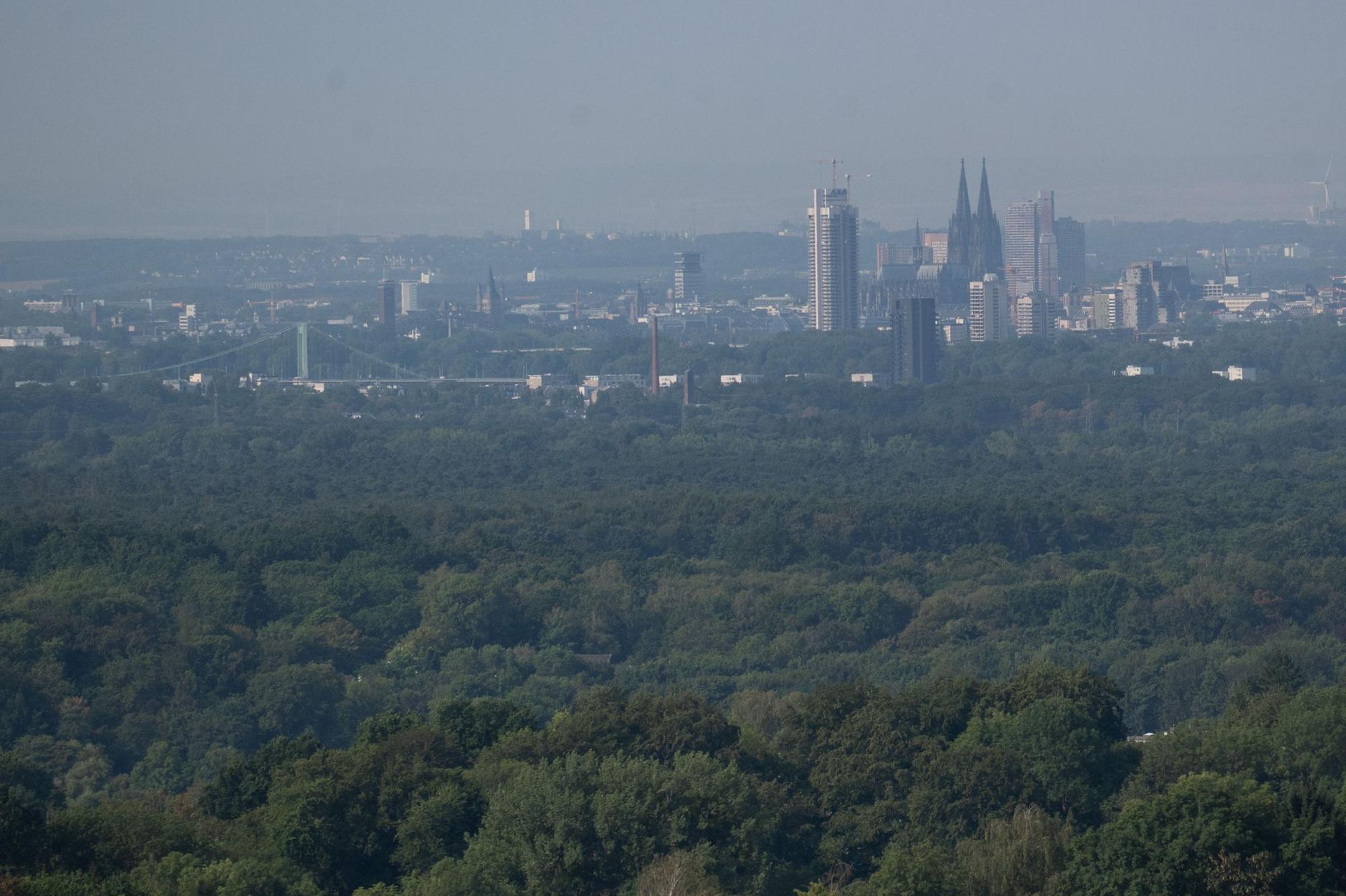 Domblick vom Kirchturm in Neuboddenberg aus Bild: Ralf Krieger