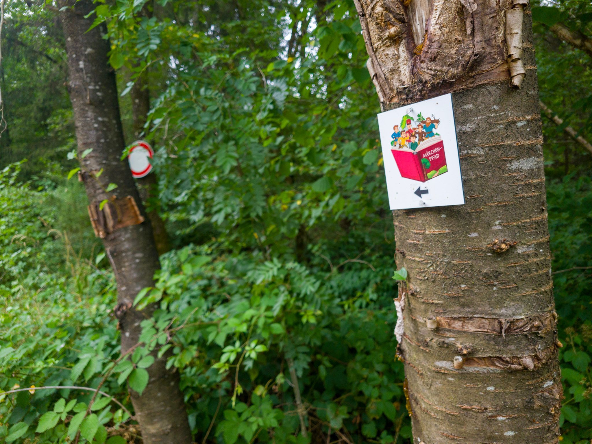 Ein kleines Schild mit einem roten Märchenbuch und einem Pfeil darauf hängt an einem Baum.