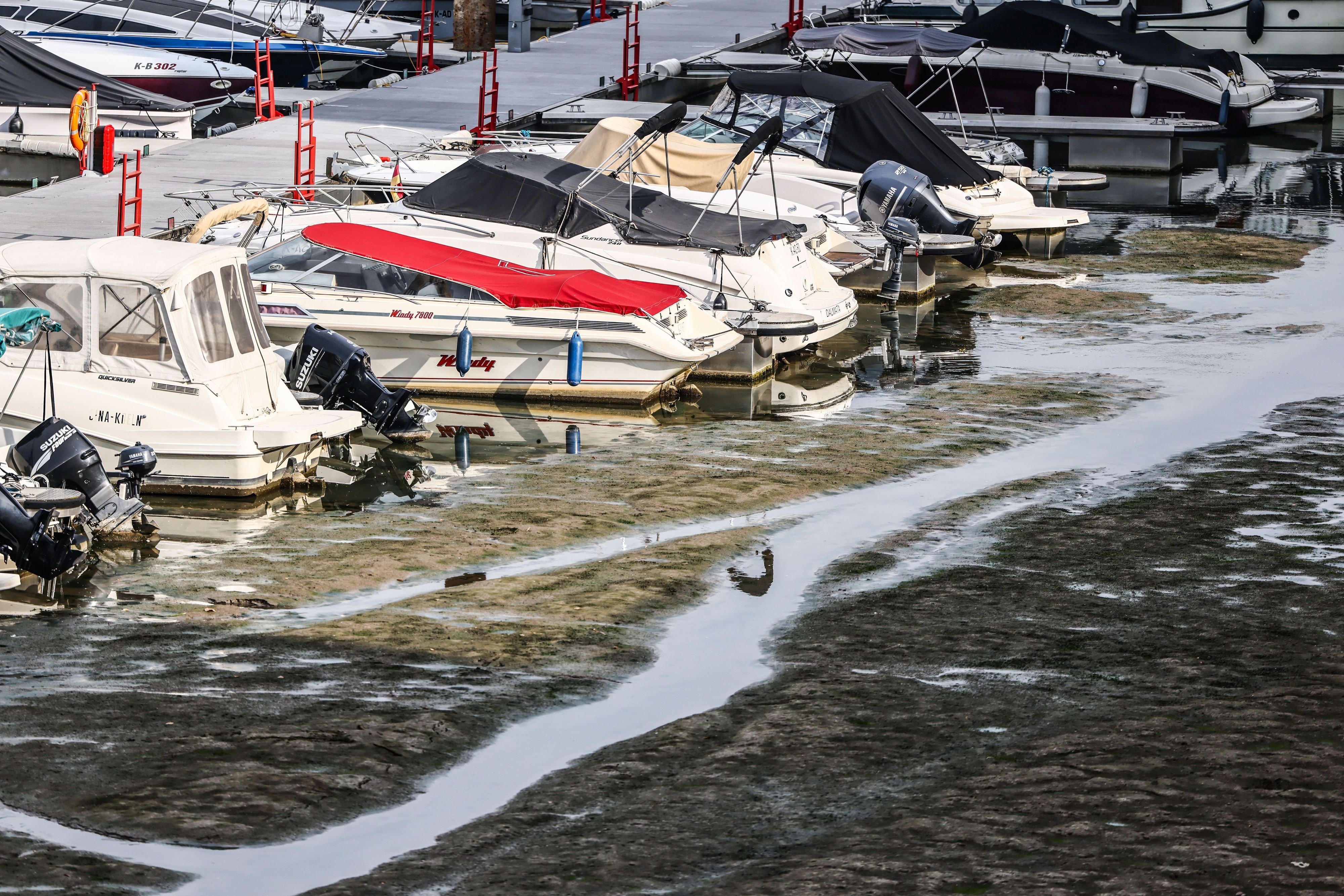Boote liegen am Freitag (31. Juli) im Kölner Rheinauhafen auf Grund.