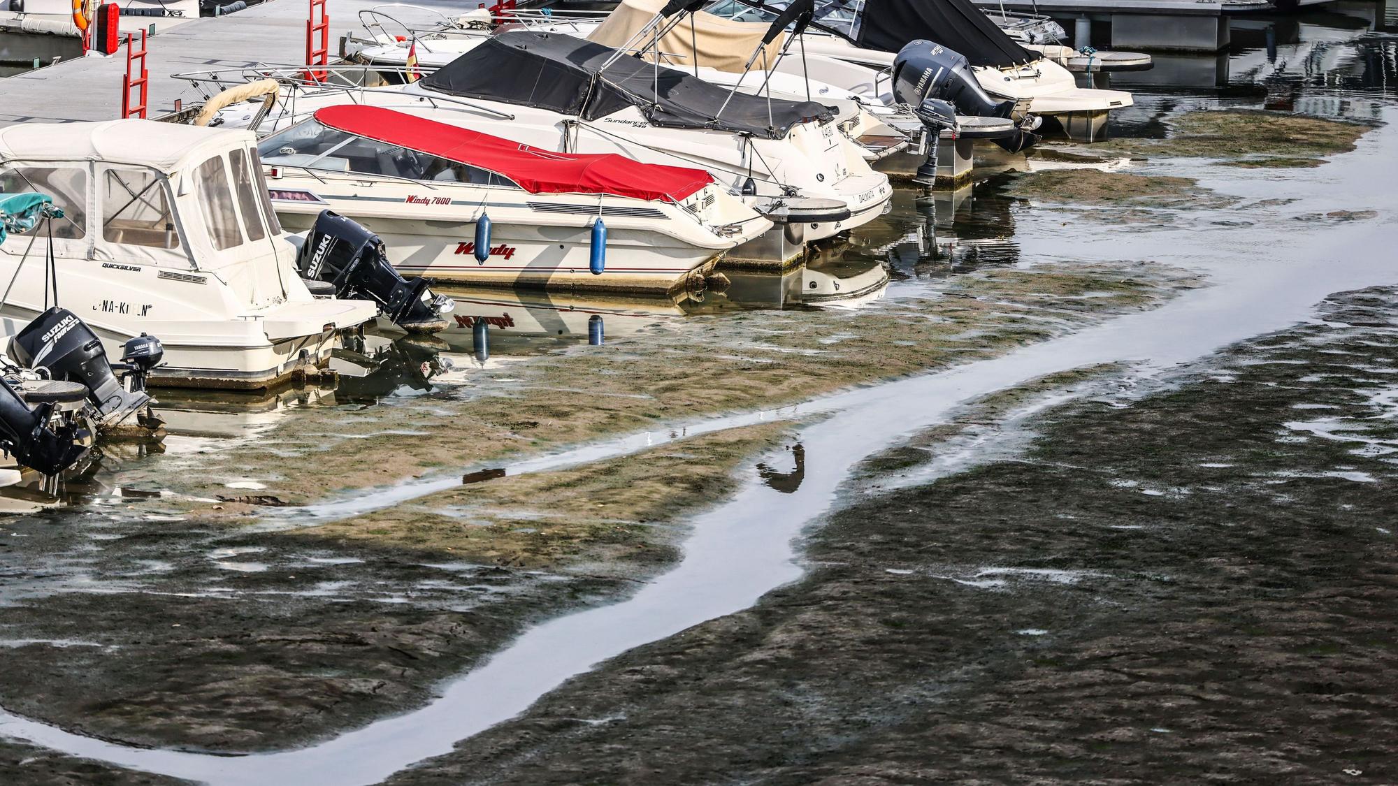 Boote liegen am Freitag (31. Juli) im Kölner Rheinauhafen auf Grund.