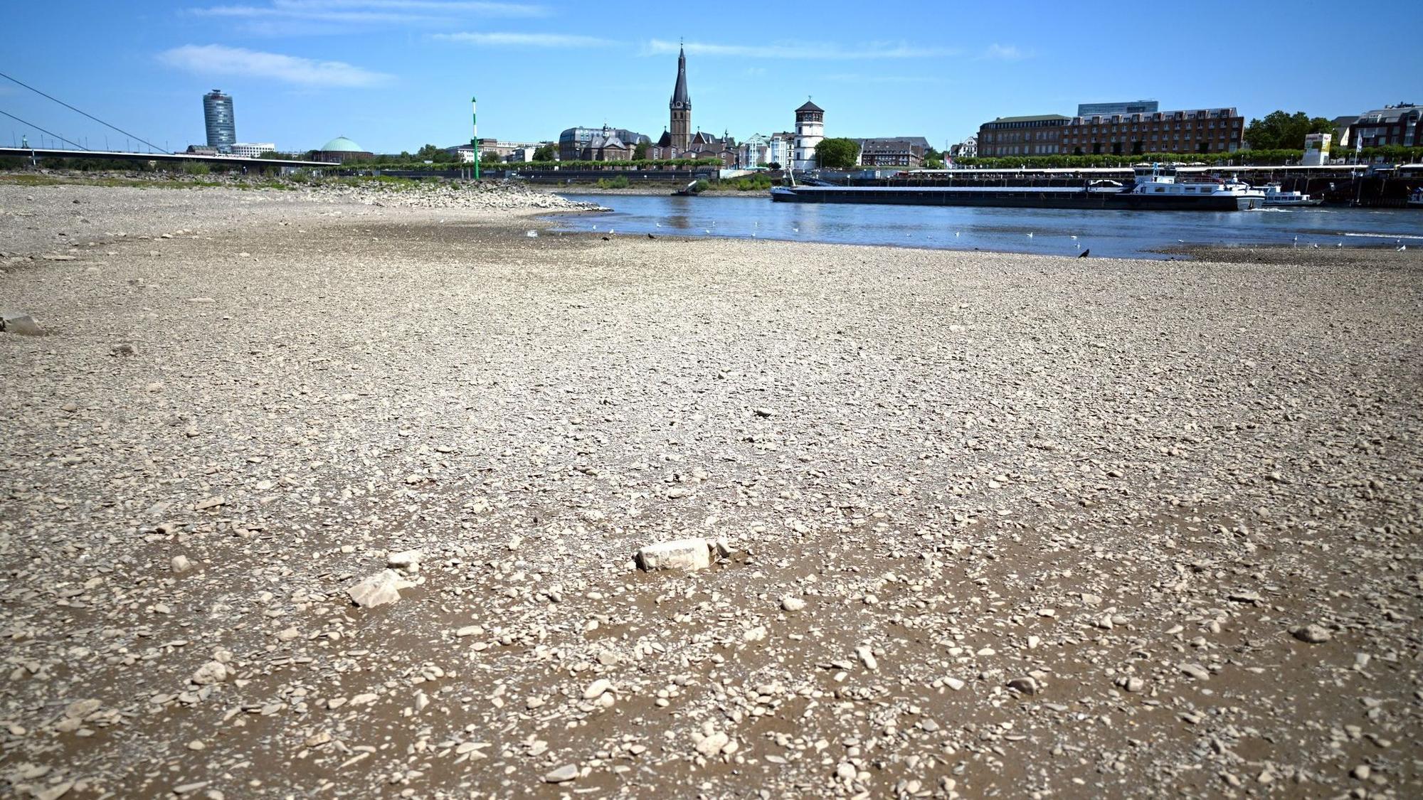 Niedrigwasser im Rhein