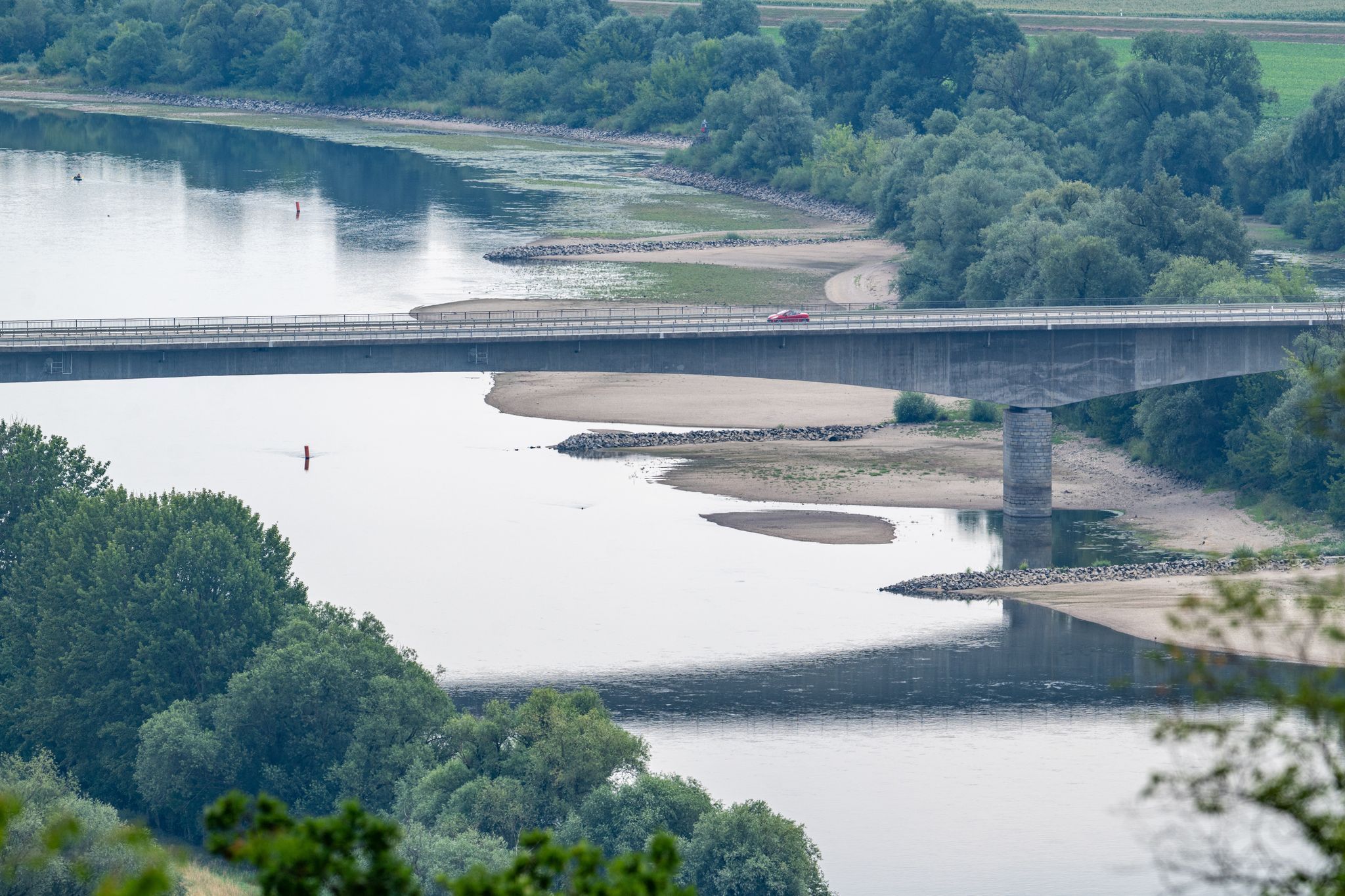 Niedrigwasser Donau