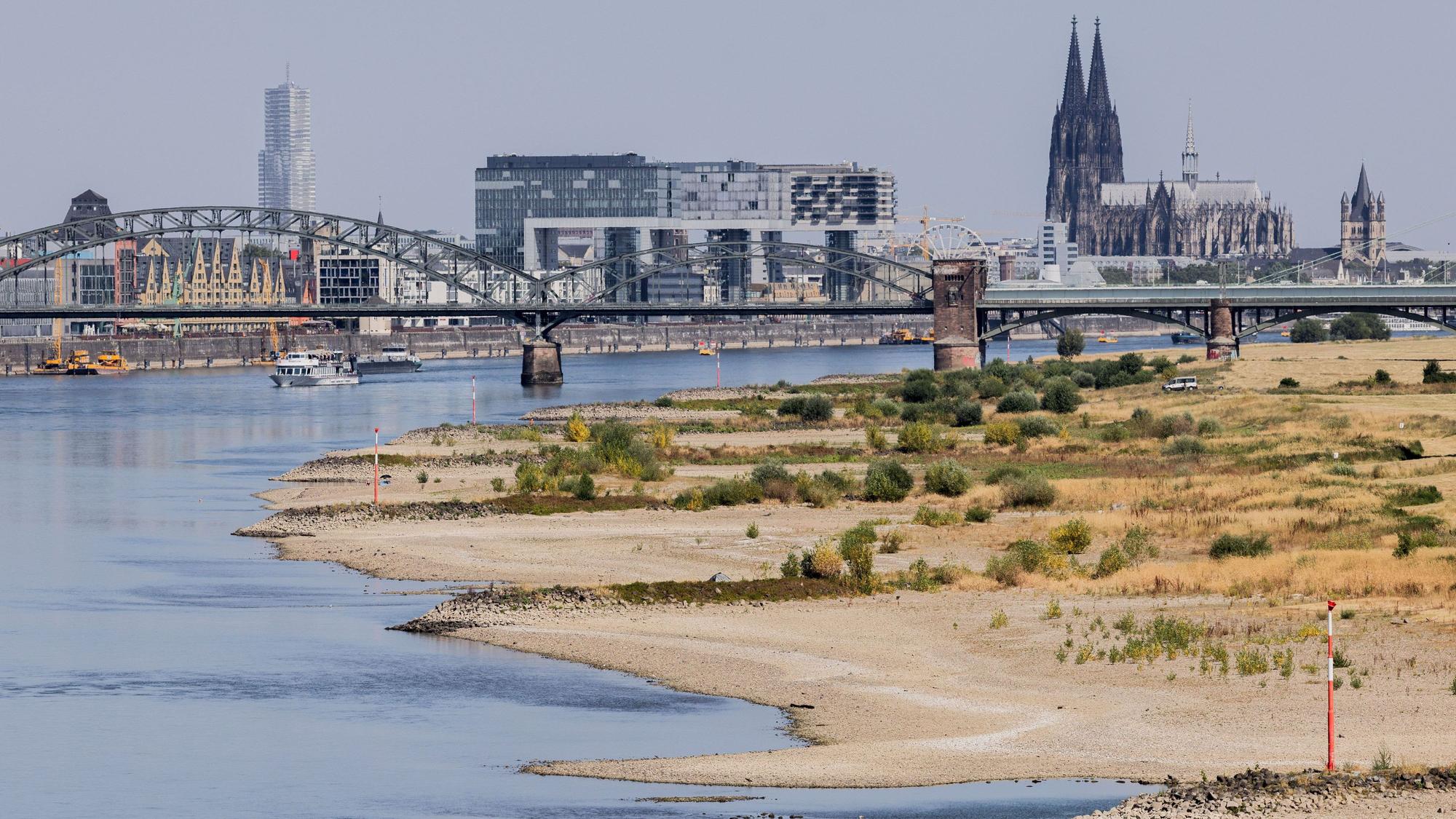 ARCHIV - 15.07.2026, Nordrhein-Westfalen, Köln: Binnenschiffe fahren bei Niedrigwasser vor der Kulisse des Kölner Doms über den Rhein. (zu dpa: «Wie das Niedrigwasser der Wirtschaft zusetzt») Foto: Rolf Vennenbernd/dpa +++ dpa-Bildfunk +++