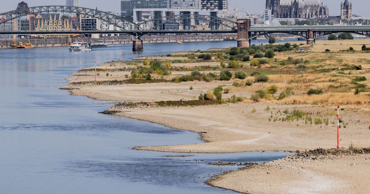 Kölner Pegel fällt auf Rekord-Tief: NRW will Krisenstab für Schifffahrt