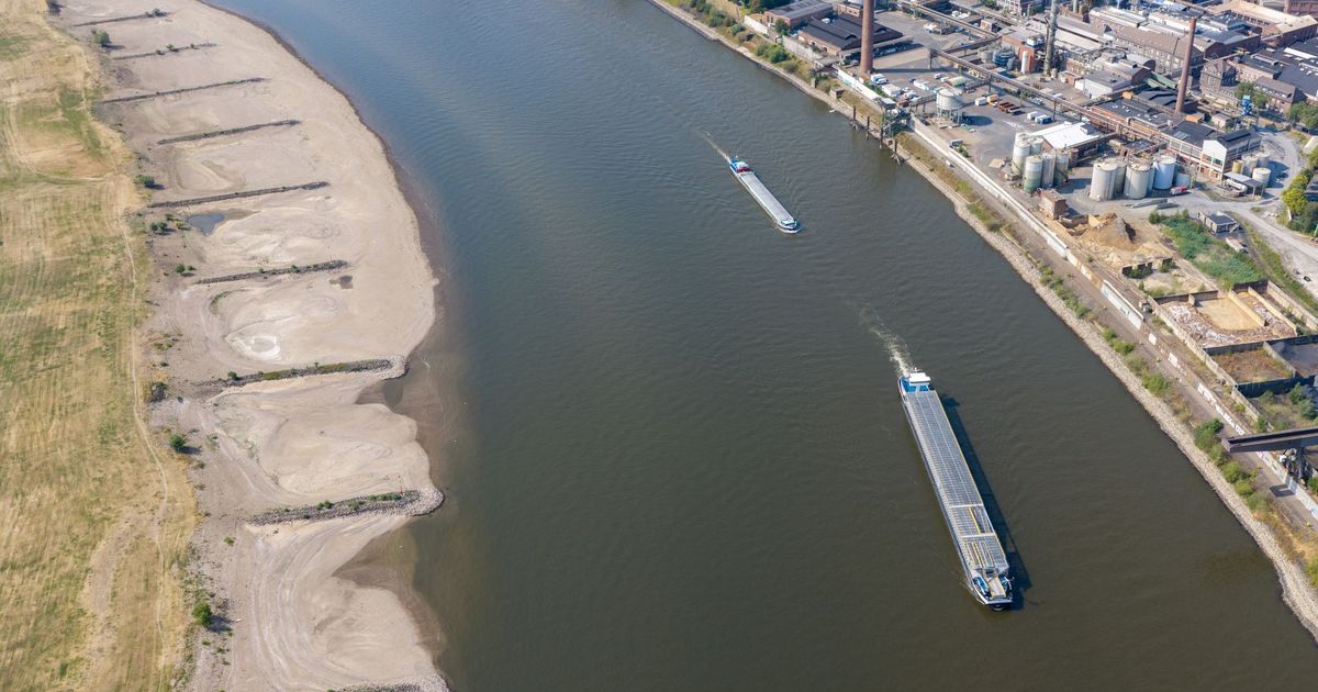 Probleme bei Niedrigwasser: NRW will Fahrrinne des Rheins weiter ausbauen