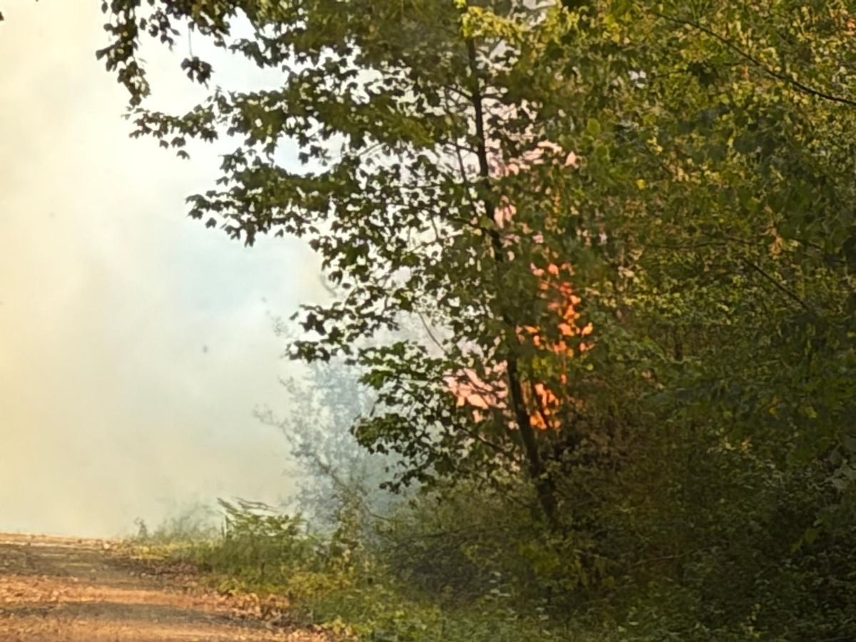 Waldbrand an der Landstraße 91bei Oberaußem.