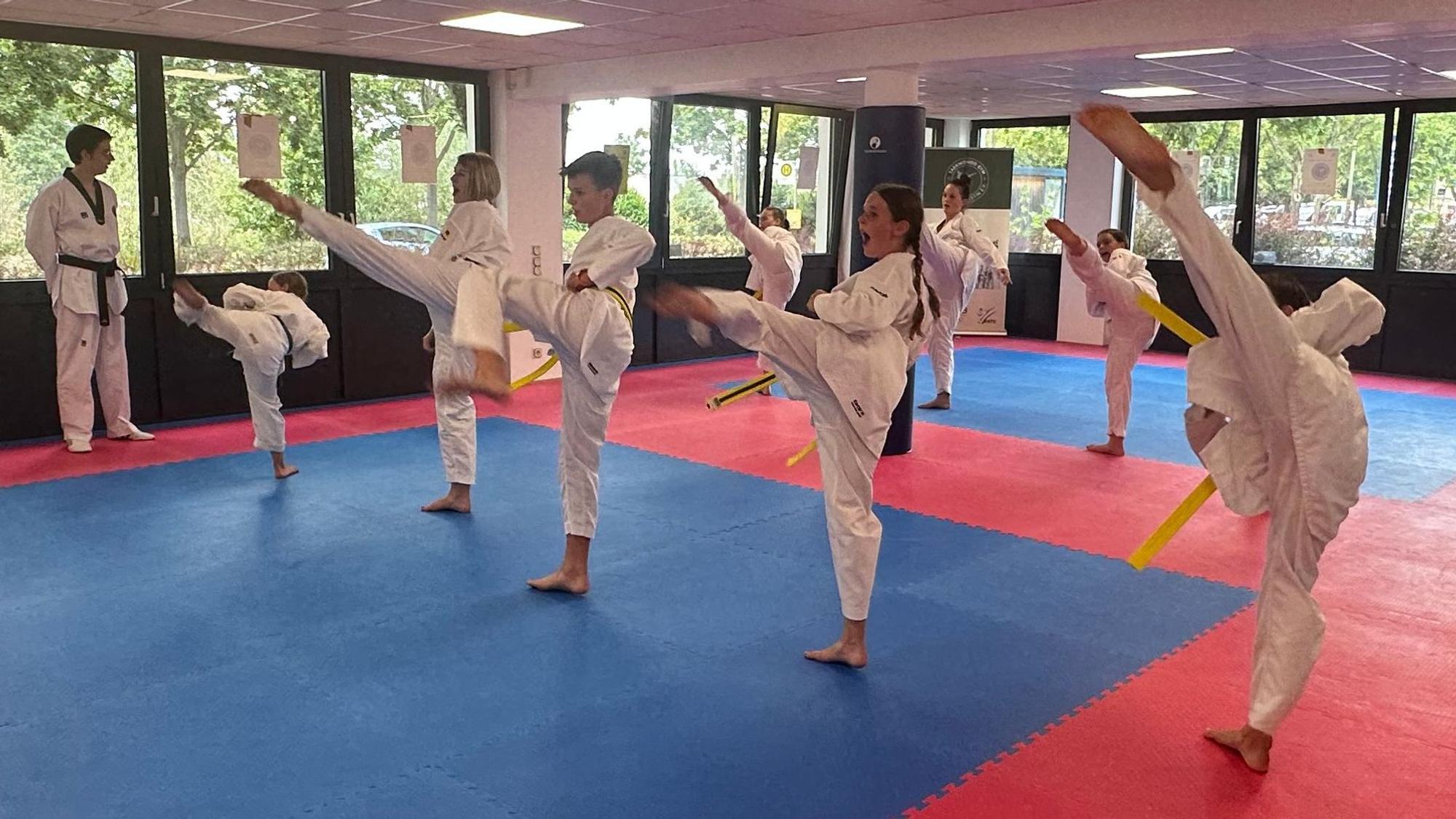 In Sankt Augustin gibt es einen neuen Taekwondo-Verein, der auch gemeinnützig ist