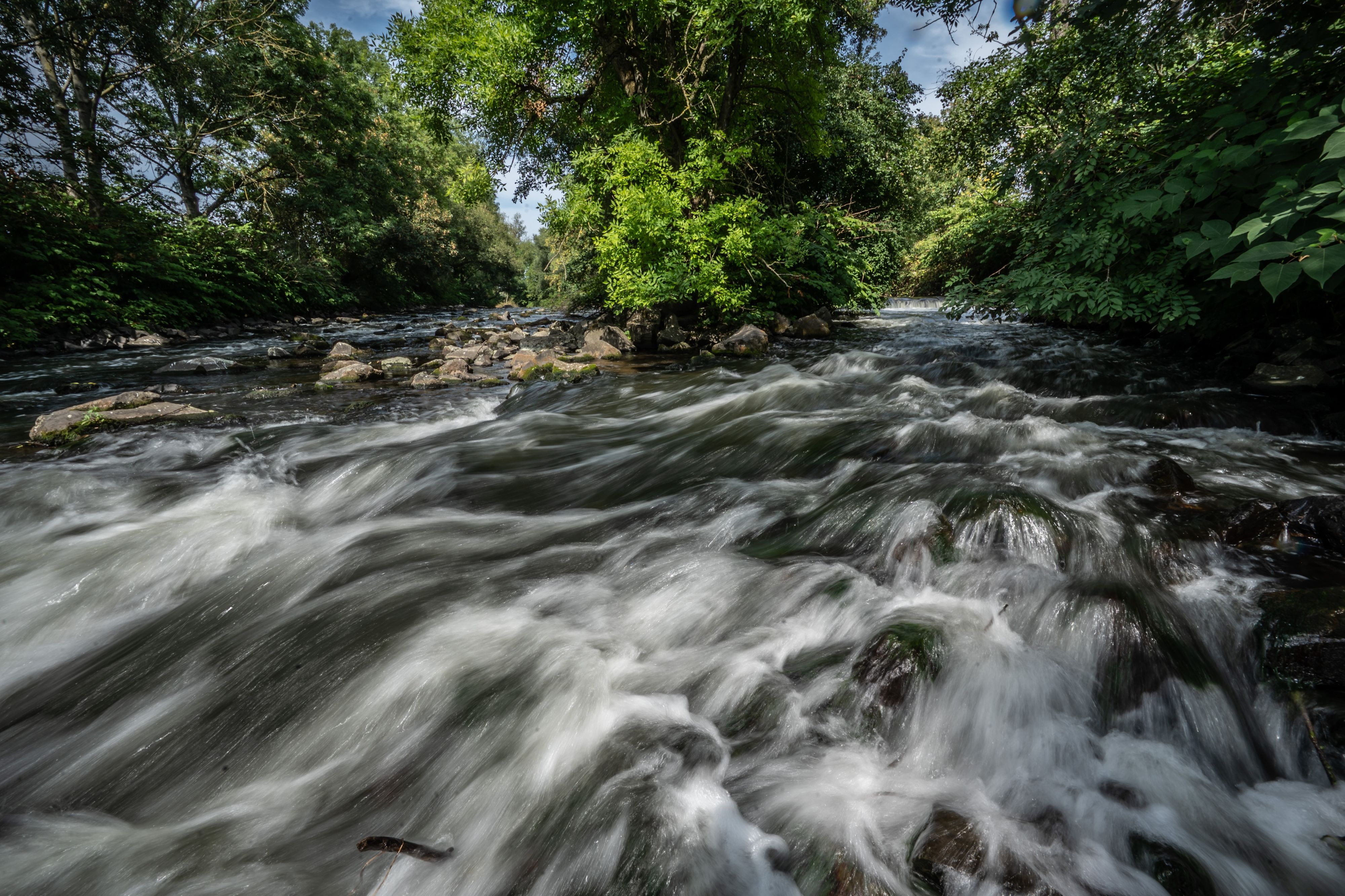 Wupper, Dhünnmündung Dhünn rechts, wupper links
Bild: Ralf Krieger