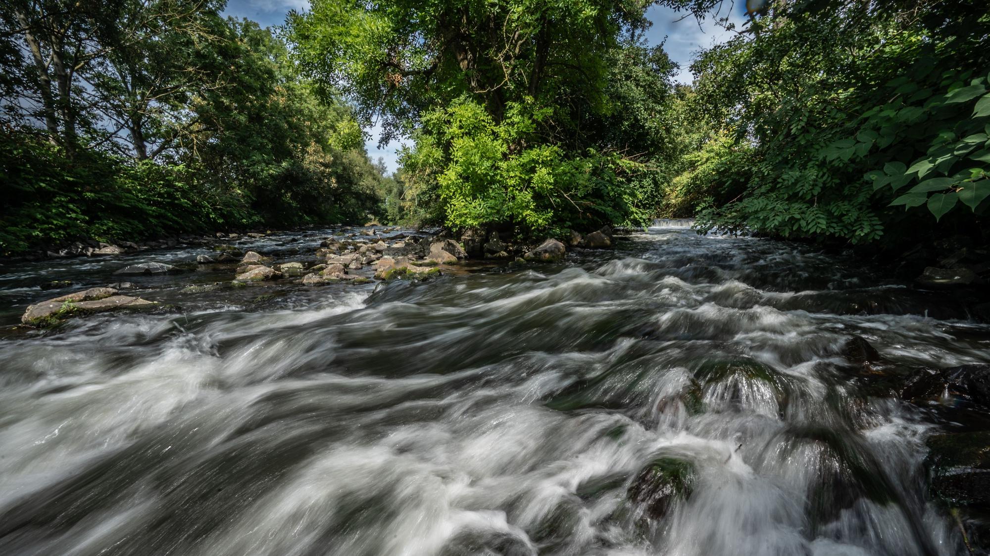 Wupper, Dhünnmündung Dhünn rechts, wupper links
Bild: Ralf Krieger