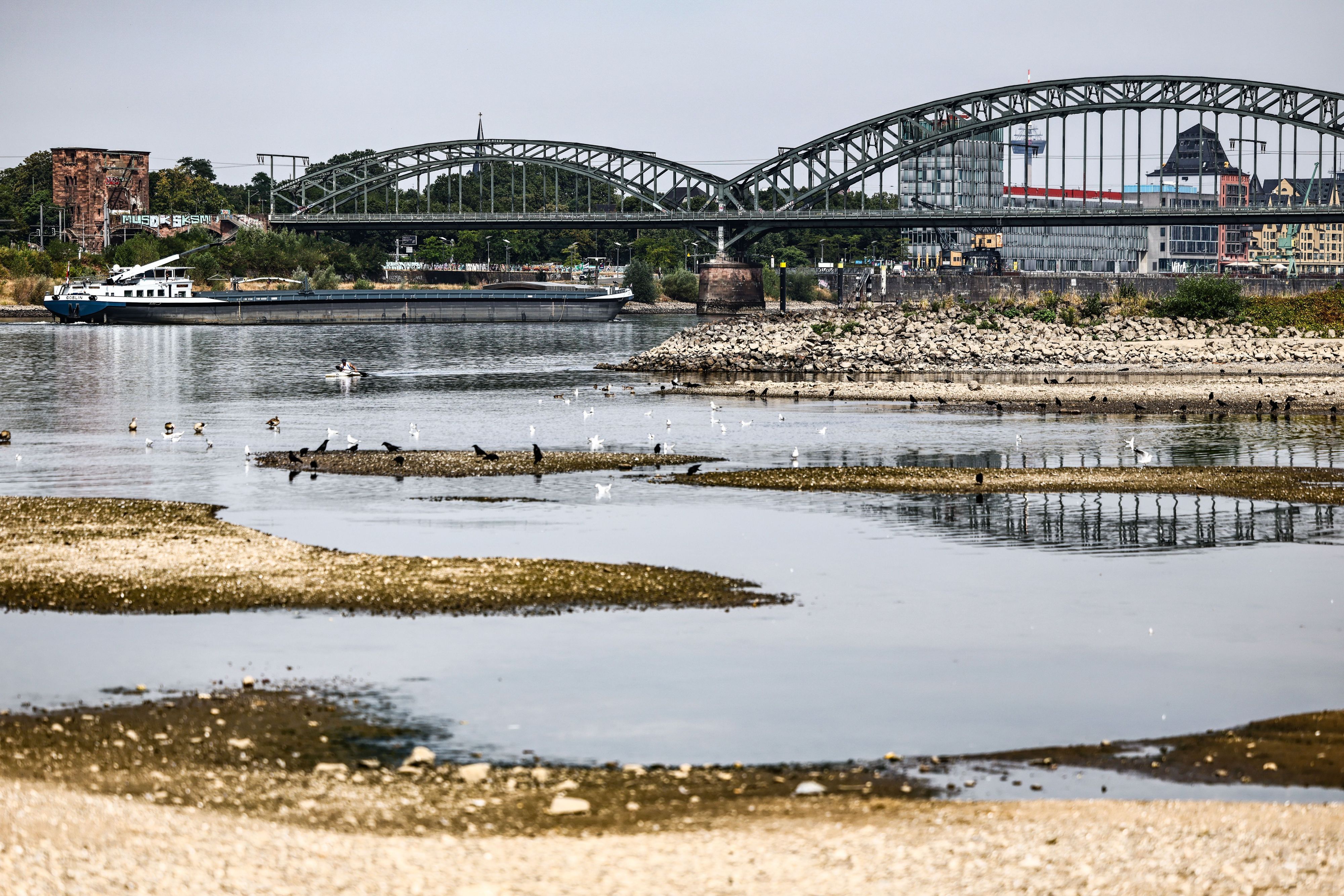 Ein Binnenschiff fährt bei niedrigem Pegelstand unter der Südbrücke über den Rhein in Köln.