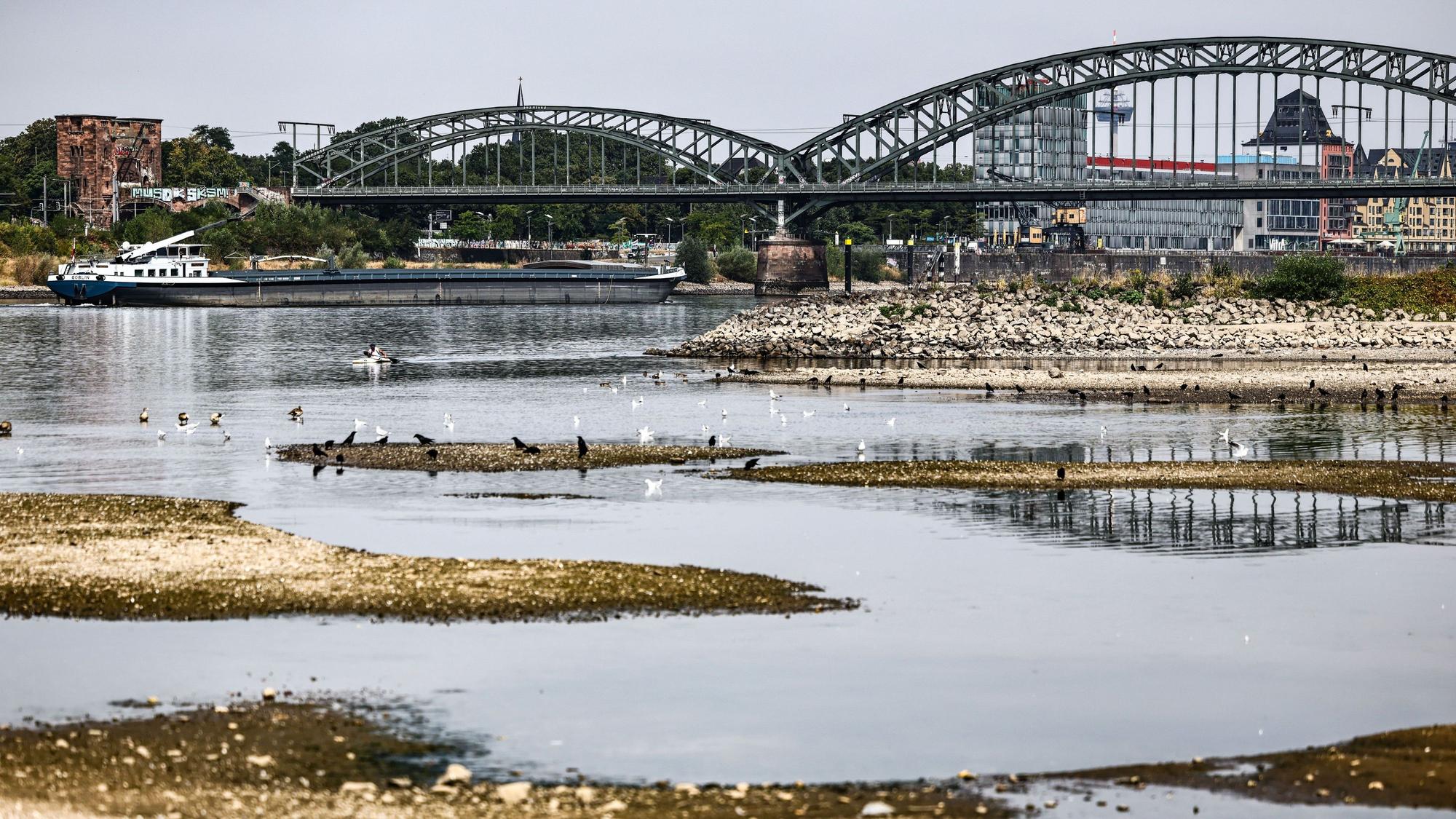 Ein Binnenschiff fährt bei niedrigem Pegelstand unter der Südbrücke über den Rhein in Köln.