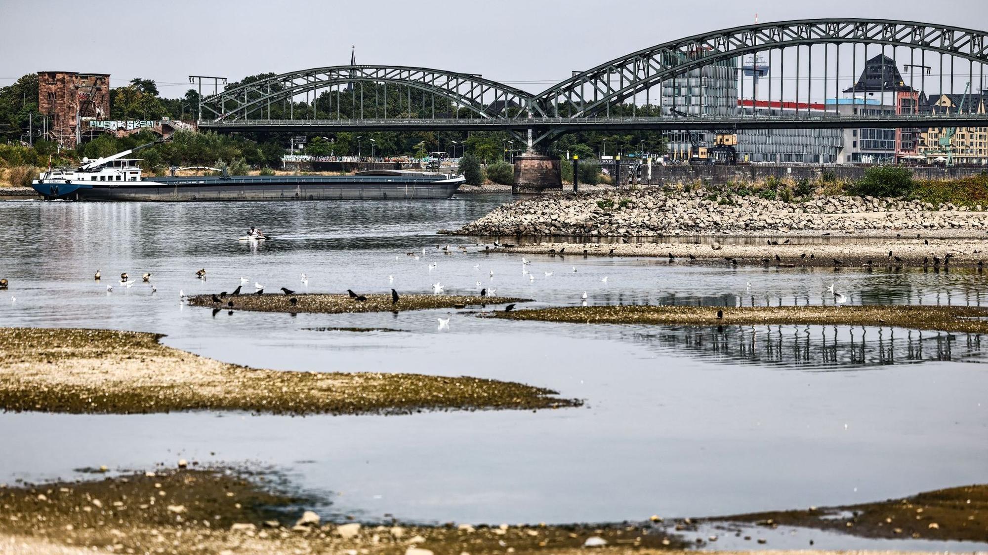 Niedrigwasser am Rhein in Köln
