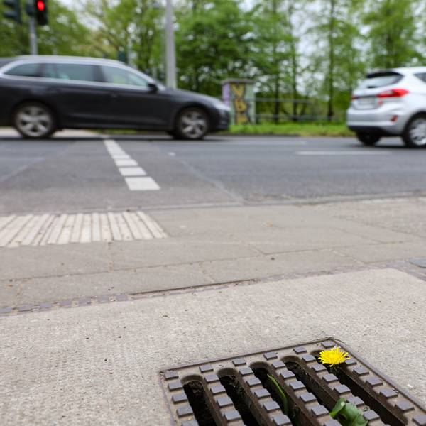 Gully an der Aachener Straße: In Köln riecht es nur gelegentlich aus den Abwasser-Kanälen.