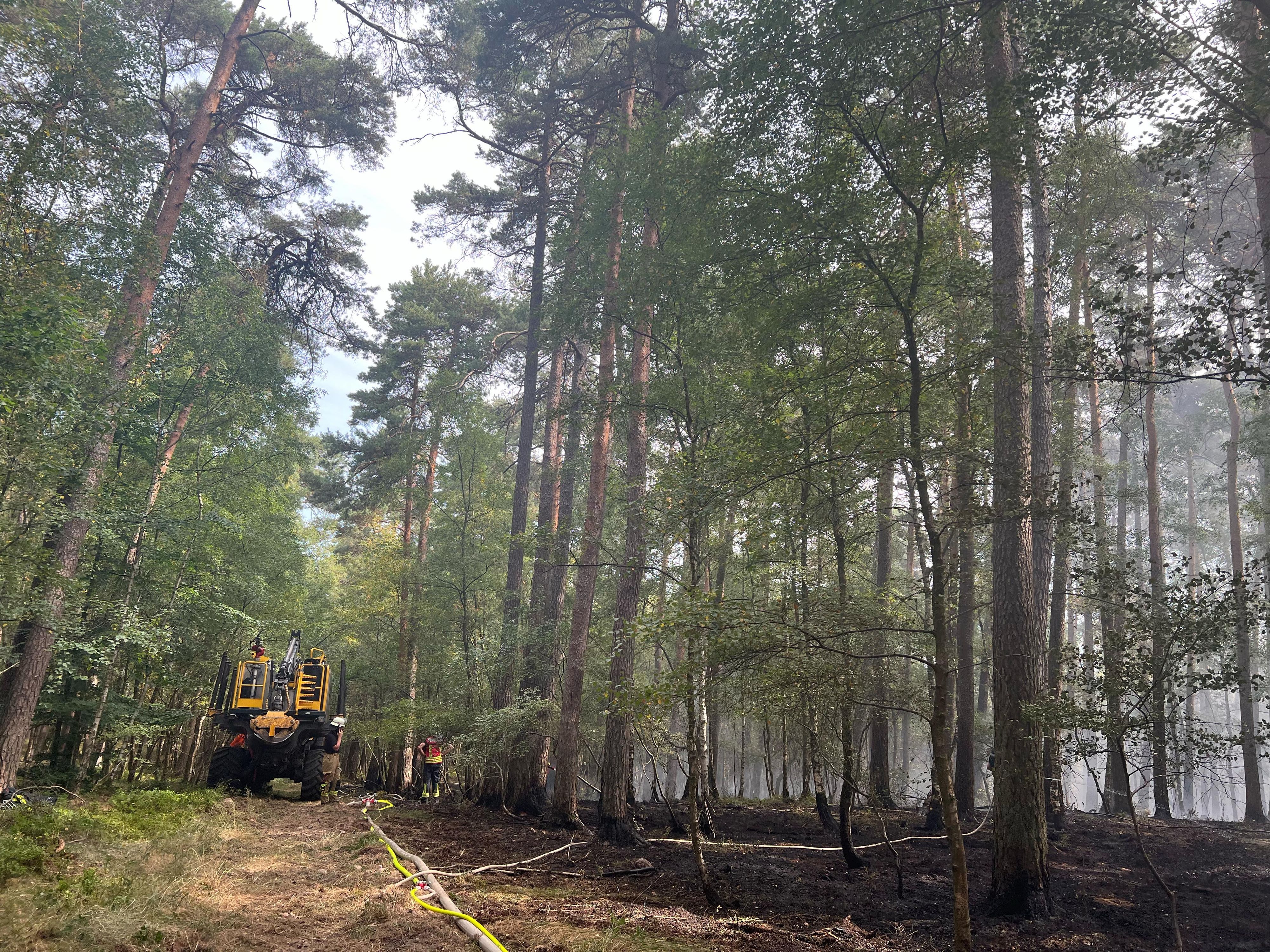 Das Bild zeigt das Fahrzeug auf einem Wirtschaftsweg. Ein Teil des Waldbodens ist sichtbar verbrannt.