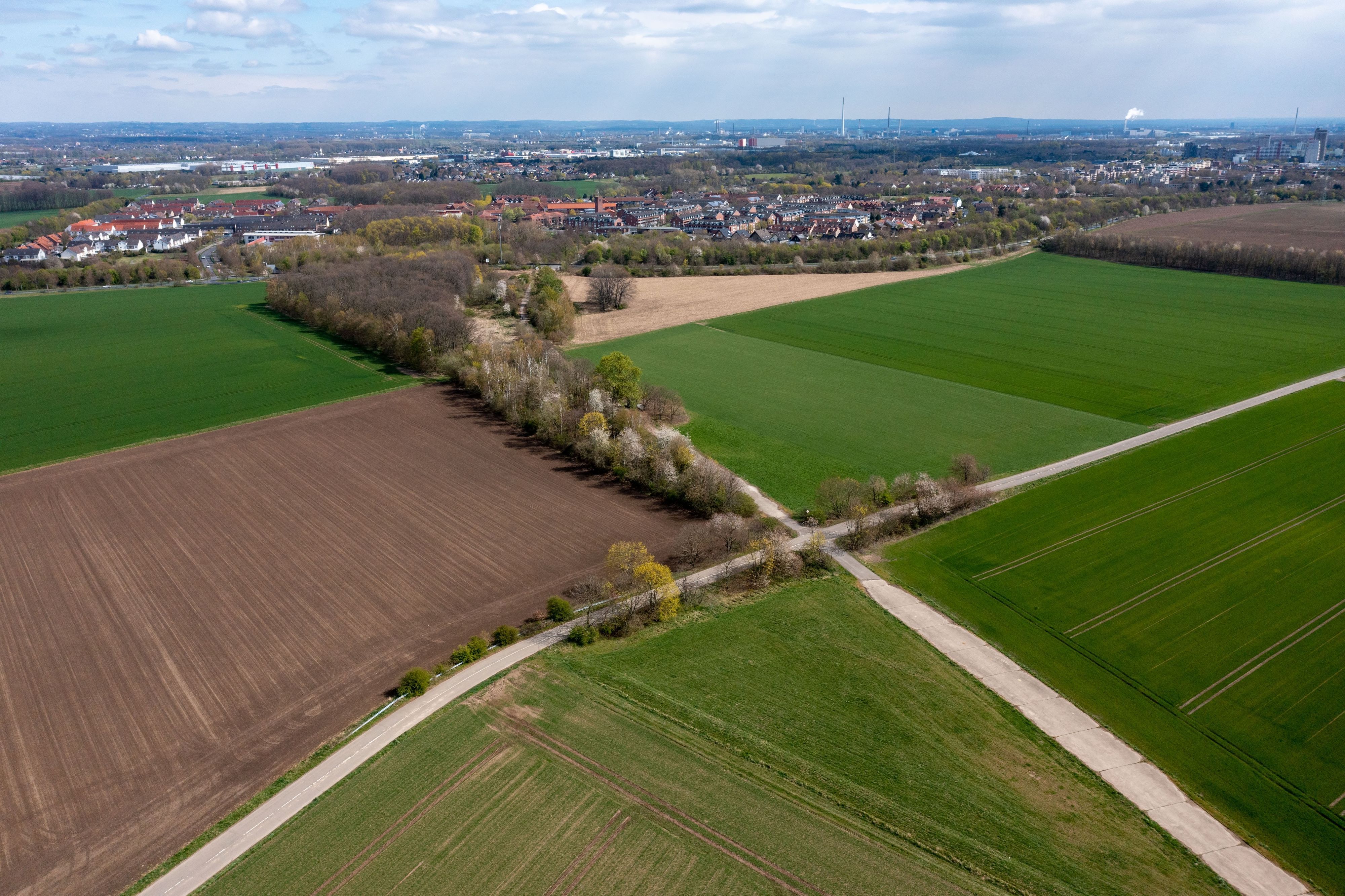 Wenn das geplante neue Viertel Kreuzfeld im Kölner Norden gebaut wird, müssten diese Äcker weichen (Archivbild).