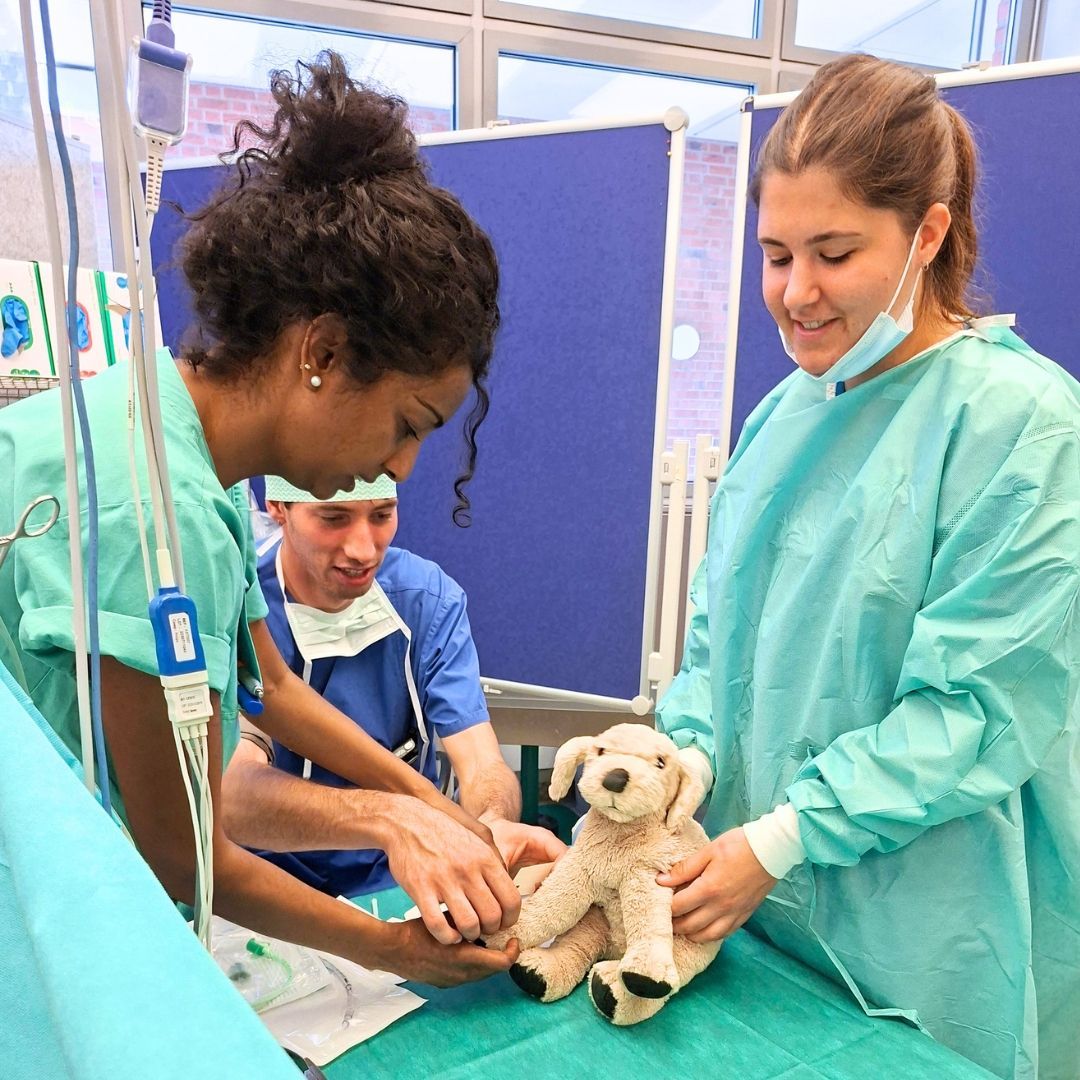 ein Stofftierhund sitzt auf einem OP-Tisch und wird vom Klinikpersonal untersucht