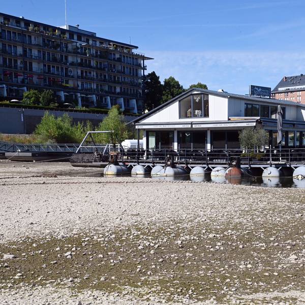 Das Sürther Bootshaus liegt teilweise auf Grund, das belastet auch die Gebäudestruktur. Hier bei einem Pegelstand von 78 Zentimetern.