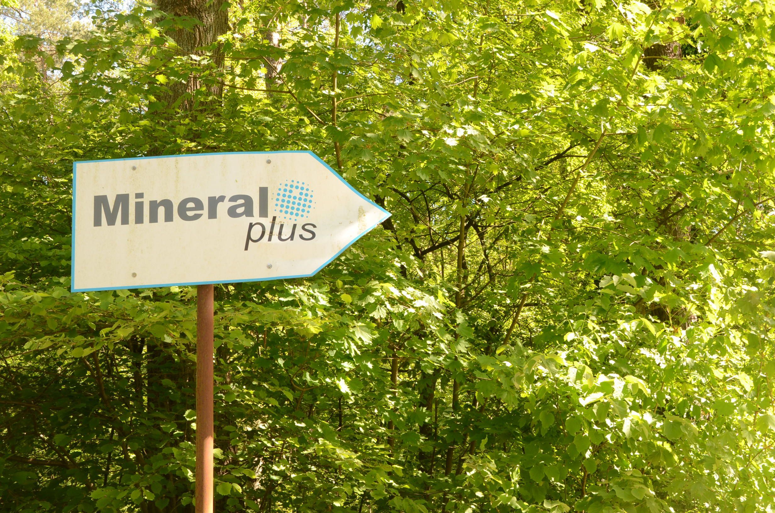 Eine Mehrheit von CDU, FDP/UWG und AfD hat sich für den möglichen Ausbau der Deponiestraße durch den Spicher Wald ausgespochen