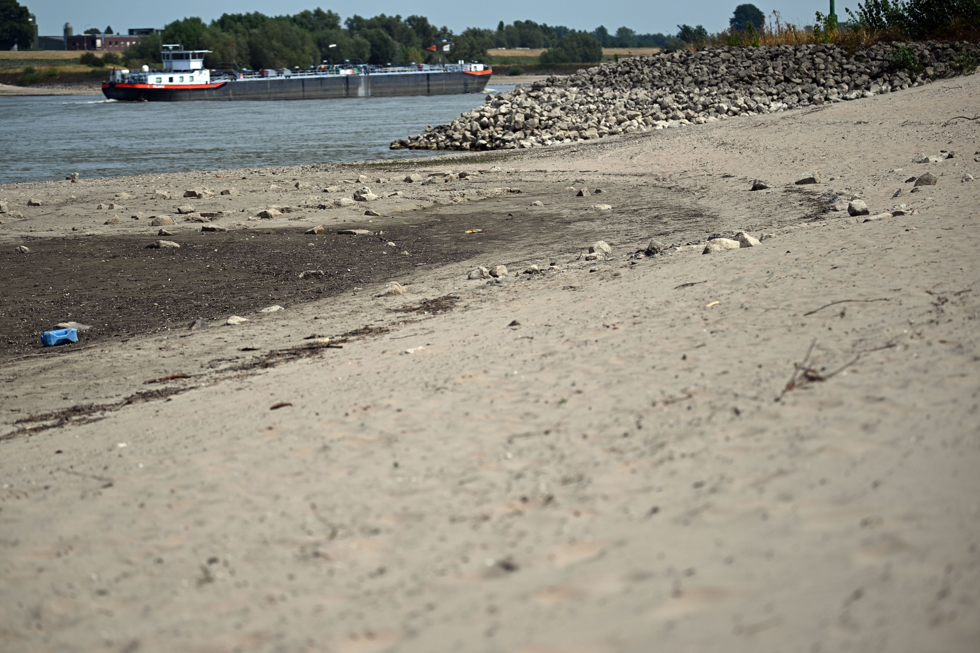 Ein Frachtschiff fährt bei Niedrigwasser auf dem Rhein.