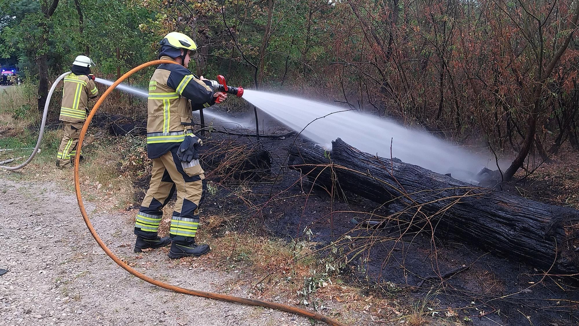 In der Wahner Heide an der Flughafenstraße löschte die Feuerwehr einen kleineren Flächenbrand.