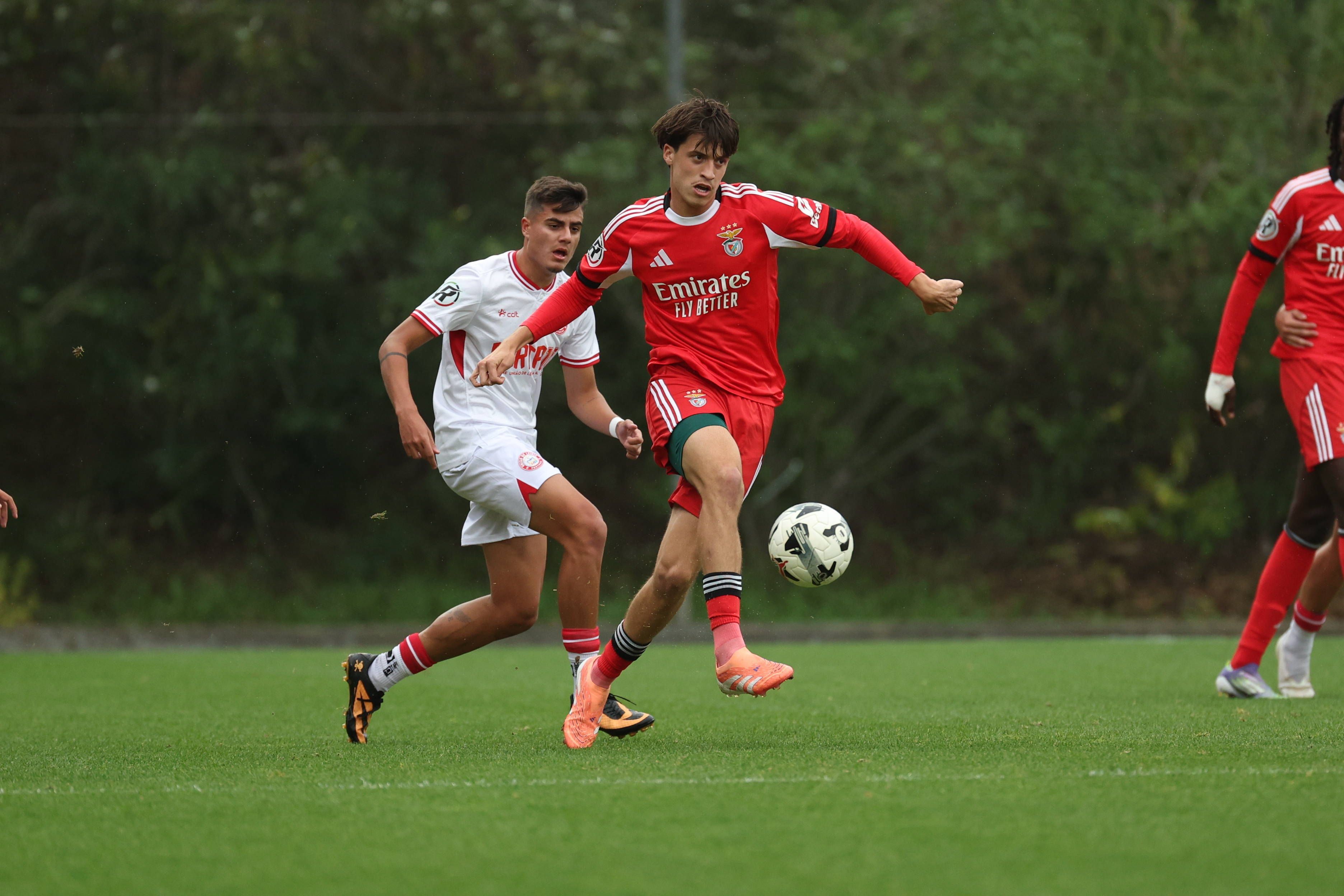 Gil Neves  SL Benfica U-23  in action during the match between SL Benfica U-23 and UD Leiria U-23, valid for Liga Revelacao Sub-23 2025 26 at Benfica Campus on 13 November 2025. Lisbon Benfica Campus Seixal Portugal Copyright: xIMAGOx/xPRIMExSPORTSxIMAGESx/xFILIPExOLIVEIRAx