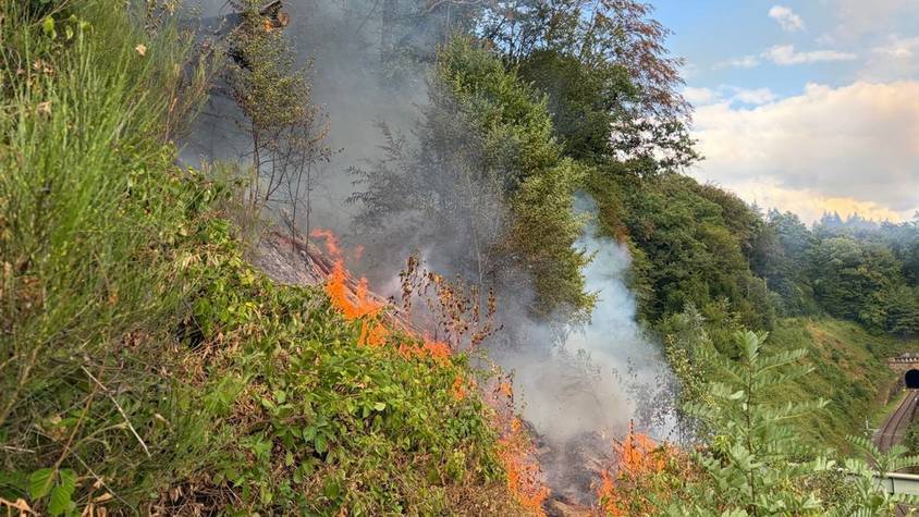 Eine Böschung im Bereich des Lüderichs steht in Flammen.