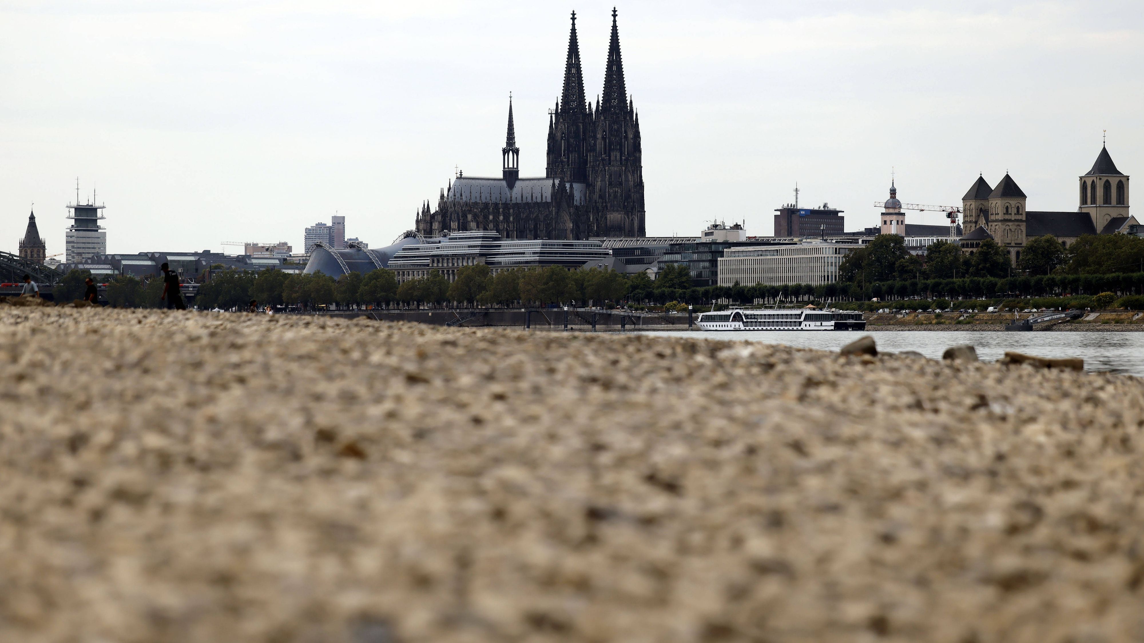 Der Kölner Dom ragt über das ausgetrocknete Flussbett. Der Rheinpegel ist in Köln derzeit historisch niedrig.