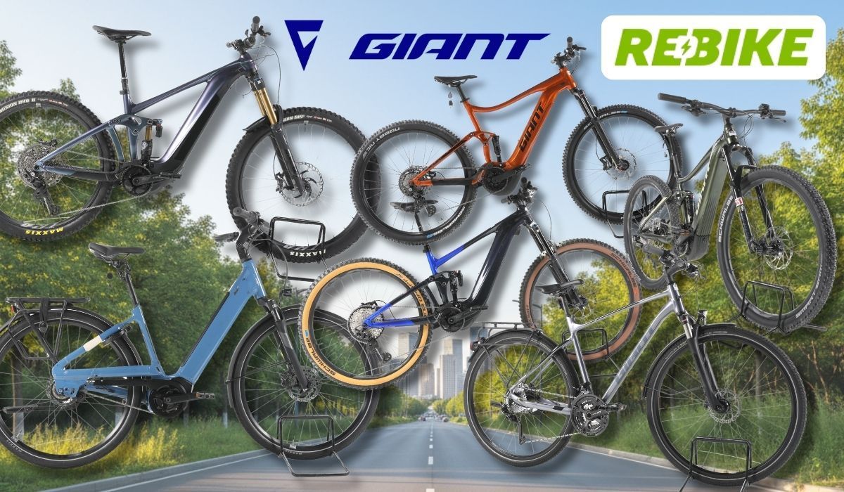Giant E-Bikes verschiedener Kategorien – darunter vollgefederte E-Mountainbikes, ein City-E-Bike mit tiefem Einstieg sowie Trekking- und SUV-E-Bikes – vor einer Landstraßen-Kulisse mit grünen Wäldern und Stadt im Hintergrund. Logos von Rebike und Giant sind oben abgebildet.