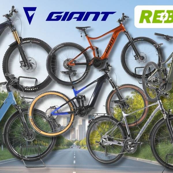 Giant E-Bikes verschiedener Kategorien – darunter vollgefederte E-Mountainbikes, ein City-E-Bike mit tiefem Einstieg sowie Trekking- und SUV-E-Bikes – vor einer Landstraßen-Kulisse mit grünen Wäldern und Stadt im Hintergrund. Logos von Rebike und Giant sind oben abgebildet.