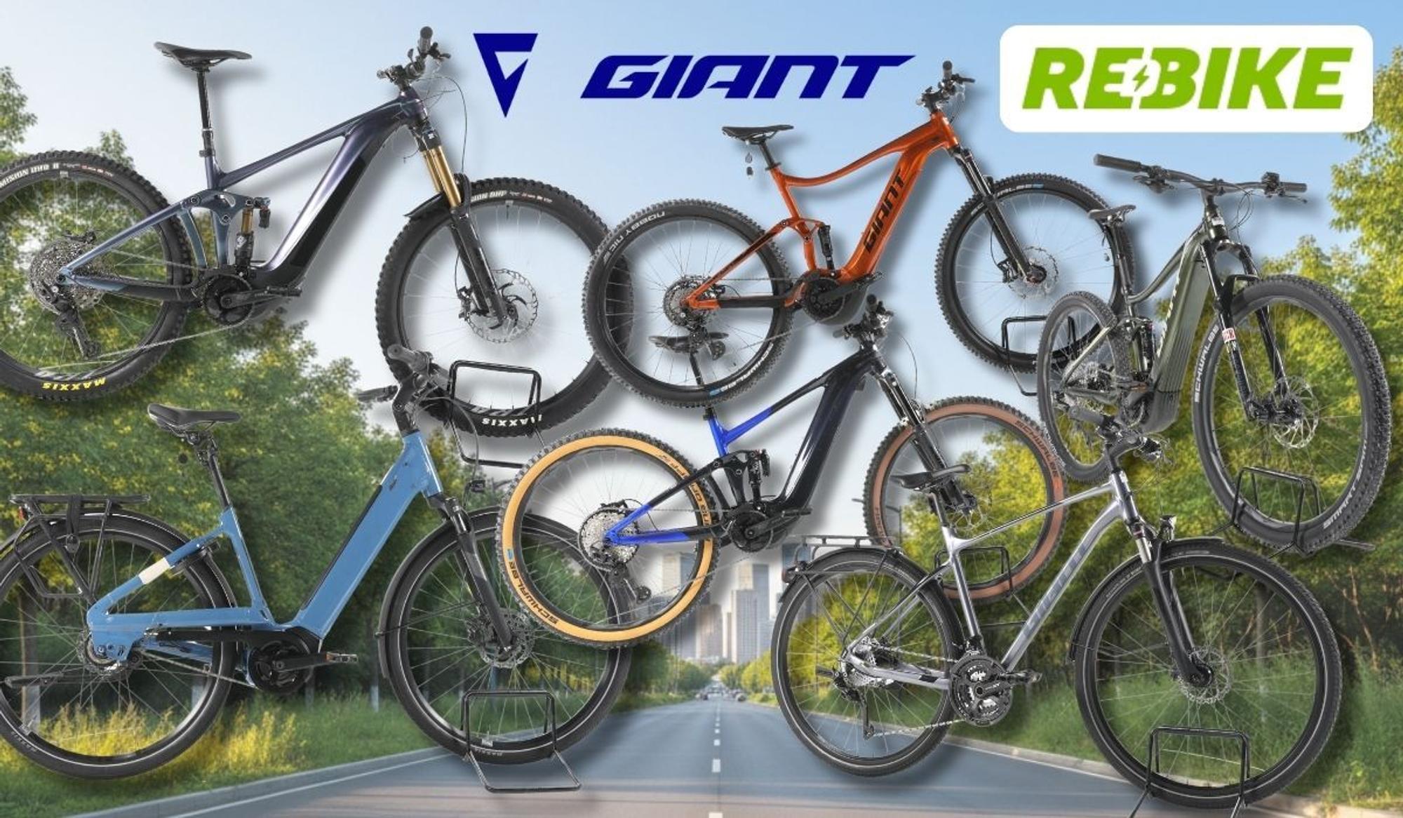Giant E-Bikes verschiedener Kategorien – darunter vollgefederte E-Mountainbikes, ein City-E-Bike mit tiefem Einstieg sowie Trekking- und SUV-E-Bikes – vor einer Landstraßen-Kulisse mit grünen Wäldern und Stadt im Hintergrund. Logos von Rebike und Giant sind oben abgebildet.