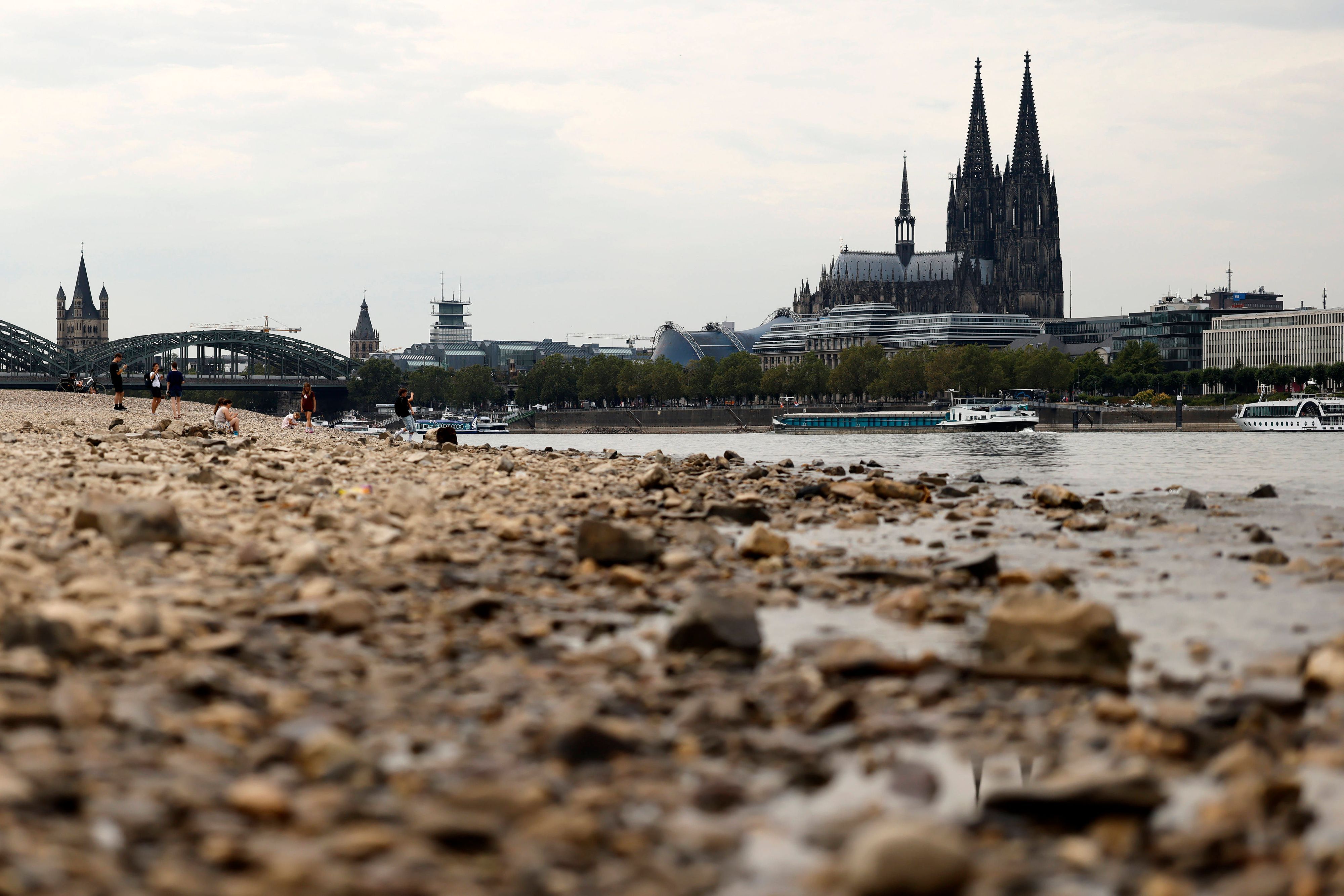 Spaziergänger stehen im ausgetrockneten Teil des Flussbett - im Hintergrund eine Rheinfähre und der Kölner Dom. Der Rheinpegel ist in Köln und Bonn auf einem Rekordtief. Viele Rheinwiesen sind verdorrt und versteppt und der sonst so stolze Fluss hat sich tief in sein Bett zurückgezogen, gibt den Blick auf trockene Ufer frei. Der Pegel lag am Wochenende mit 67 cm so tief wie noch nie seit der Messung. Themenbild, Symbolbild Köln, 29.07.2026 NRW Deutschland *** Walkers stand in the dried-up part of the riverbed in the background, a Rhine ferry and Cologne Cathedral. The Rhines water level in Cologne and Bonn is at a record low. Many Rhine meadows have withered and turned into scrubland, and the riverusually so mightyhas receded de Copyright: xChristophxHardtx