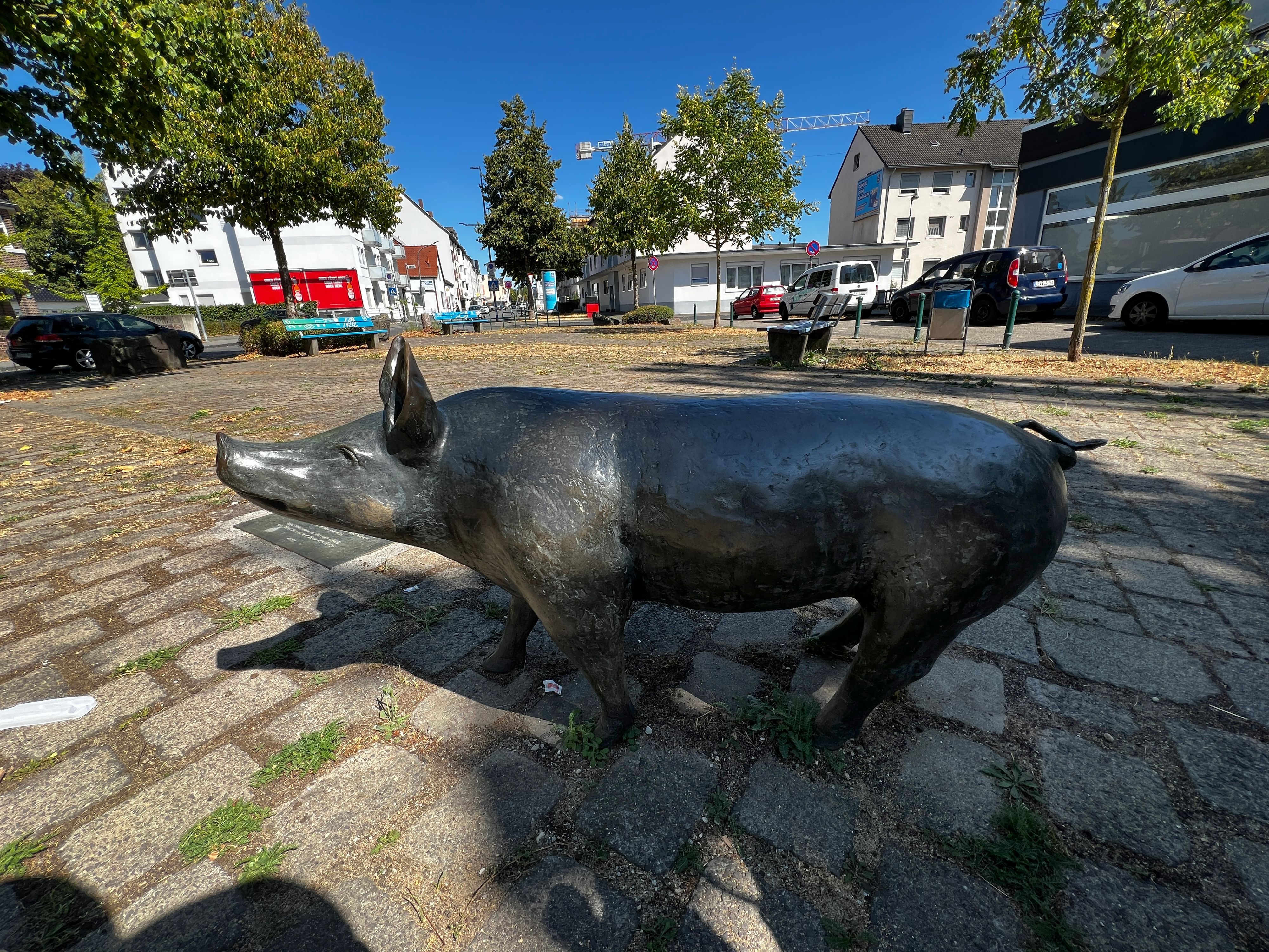 Verbliebenes Bronzeschwein in Bürrig Künstler: Kurt Arentz.  Bild: Ralf Krieger