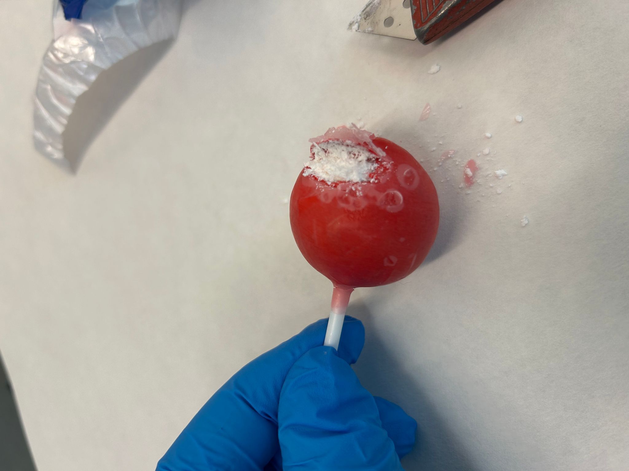 Kokain in Lollipops: Zollhunde stoppen Schmuggelversuch
