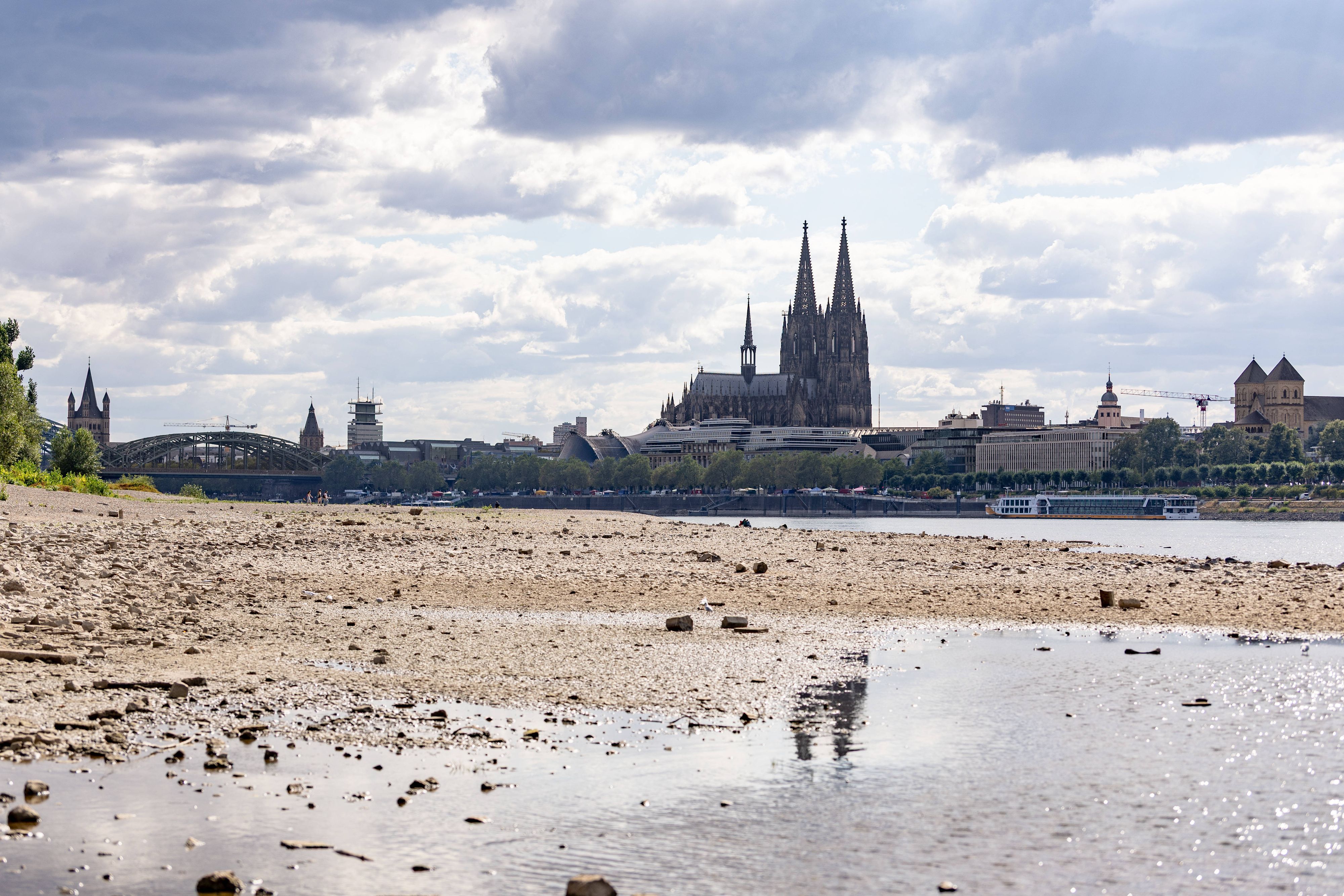 Niedrigwasser am Rhein: Blick vom Deutzer Ufer auf den Kölner Dom
