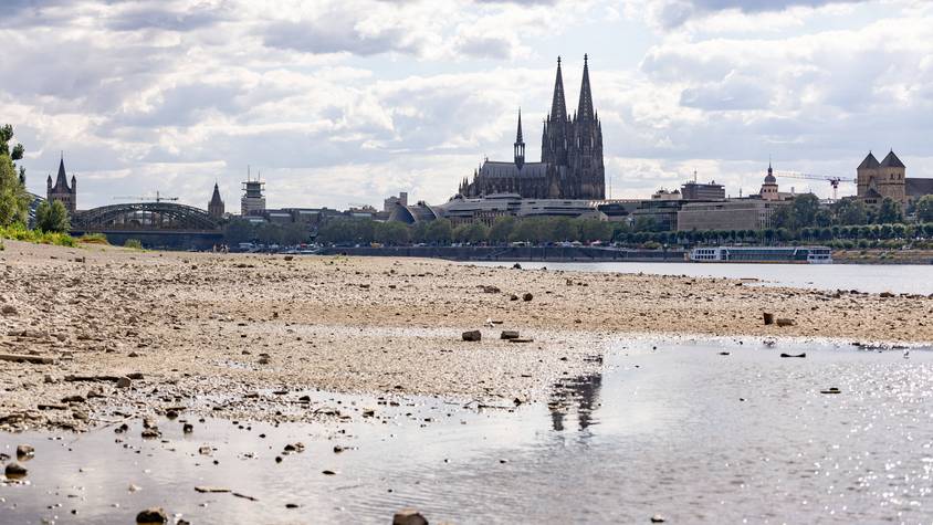 Niedrigwasser am Rhein: Blick vom Deutzer Ufer auf den Kölner Dom