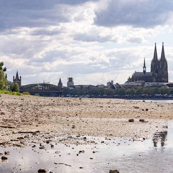 Niedrigwasser am Rhein: Blick vom Deutzer Ufer auf den Kölner Dom