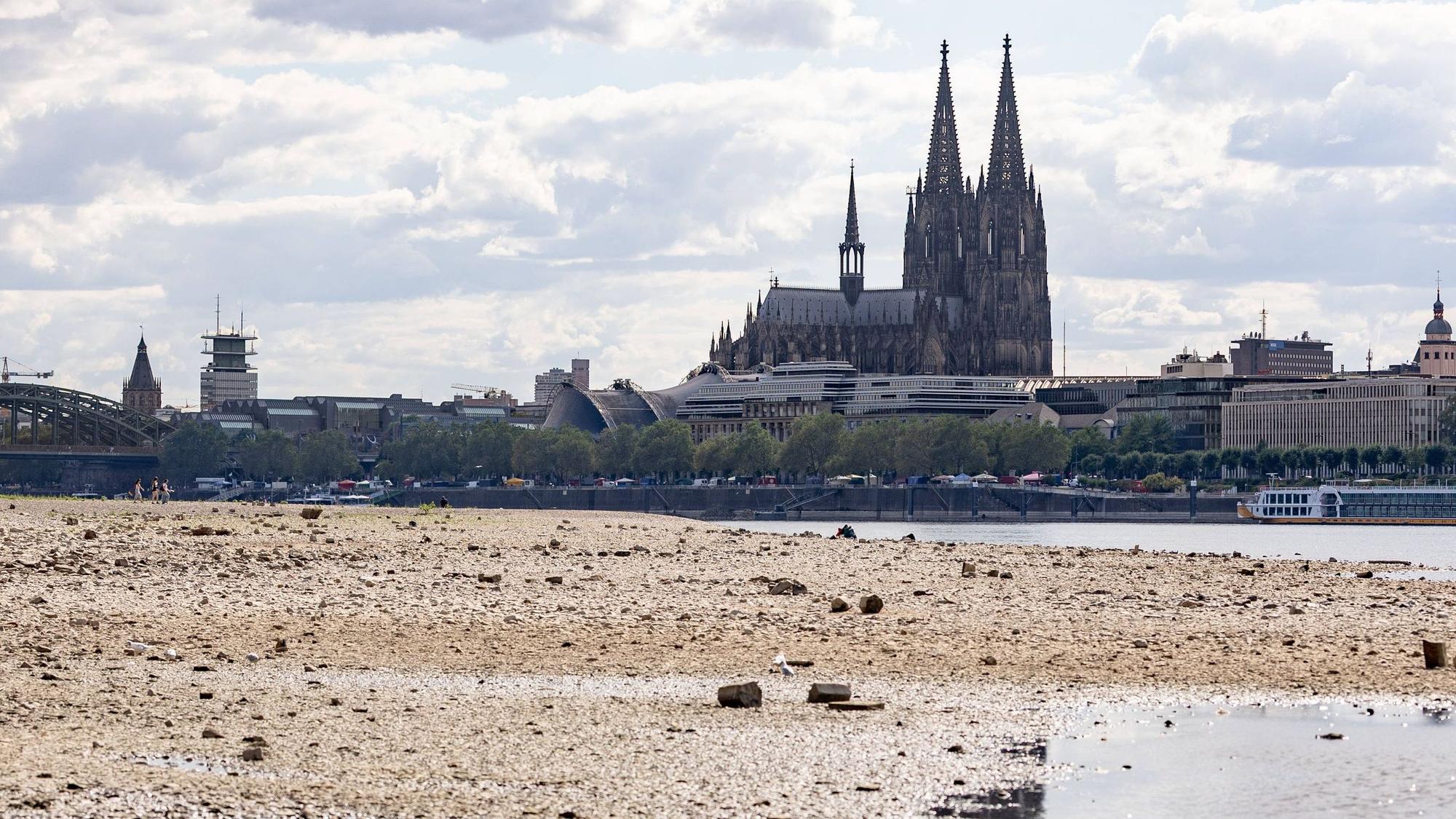 Niedrigwasser am Rhein: Blick vom Deutzer Ufer auf den Kölner Dom
