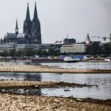 Ein Binnenschiff fährt bei niedrigem Pegelstand am Dom vorbei über den Rhein. In Köln hat der Rhein seinen historischen Tiefstand am Donnerstag wieder erreicht. (Archivbild)