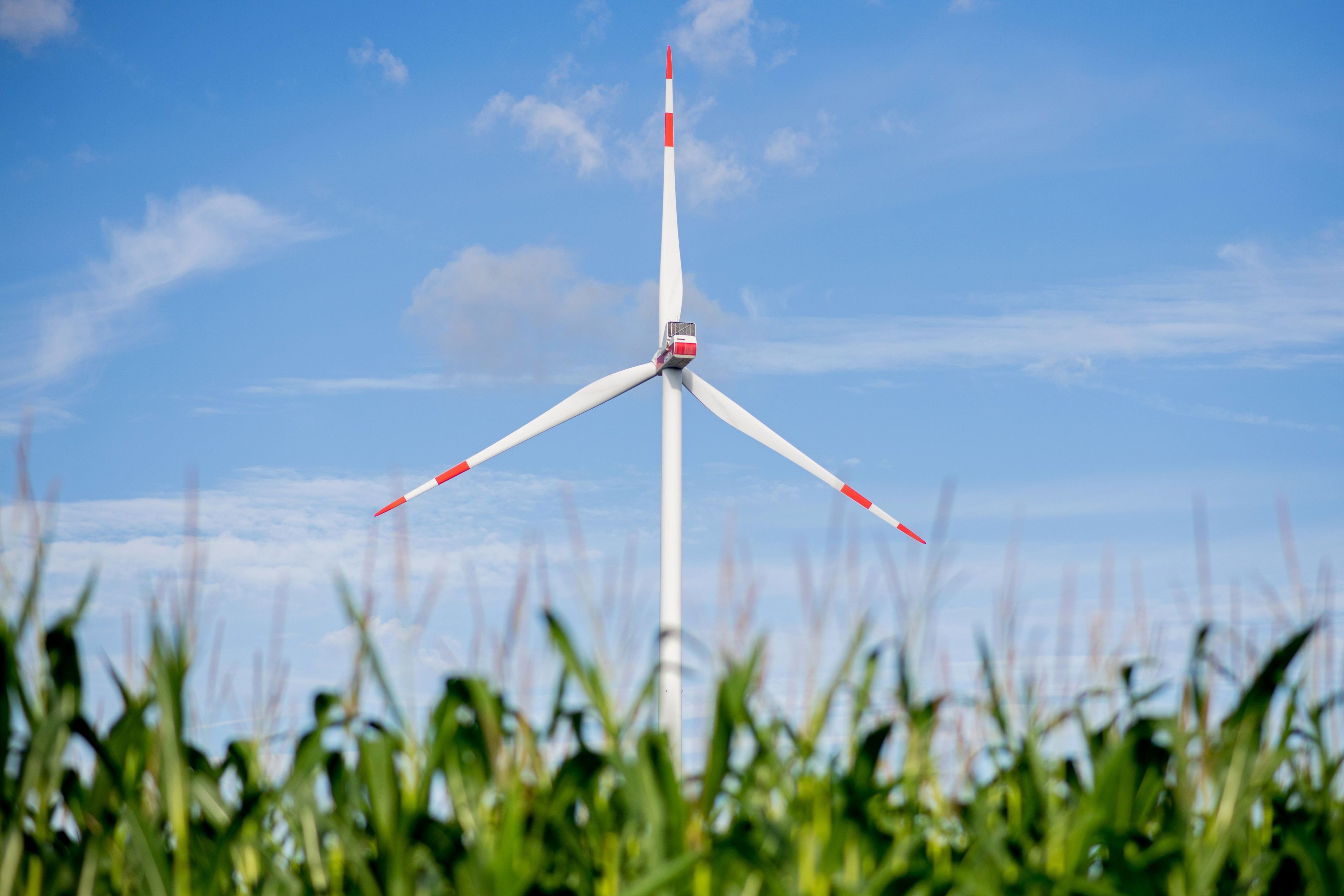 In der Nutscheid sollen Windkraftanlagen entstehen, dagegen wehren sich Naturschutzverbände. (Symbolbild)