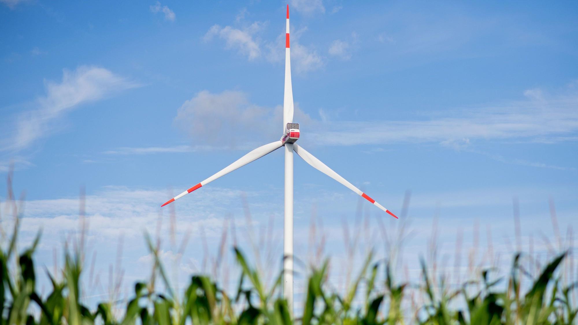 In der Nutscheid sollen Windkraftanlagen entstehen, dagegen wehren sich Naturschutzverbände. (Symbolbild)