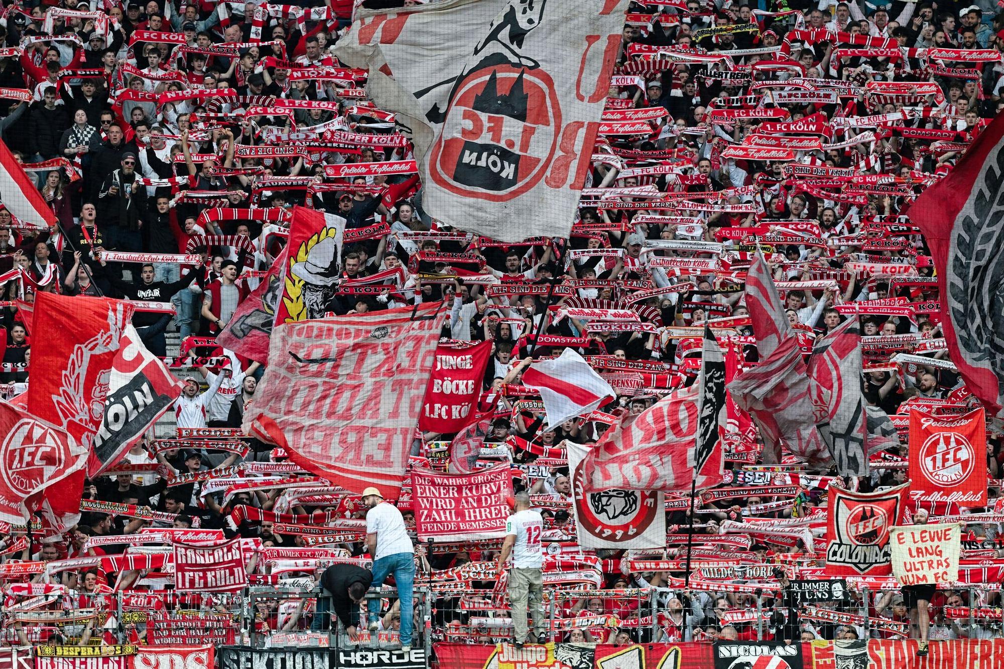 FC Köln Fans im Fanblock mit Fahnen.