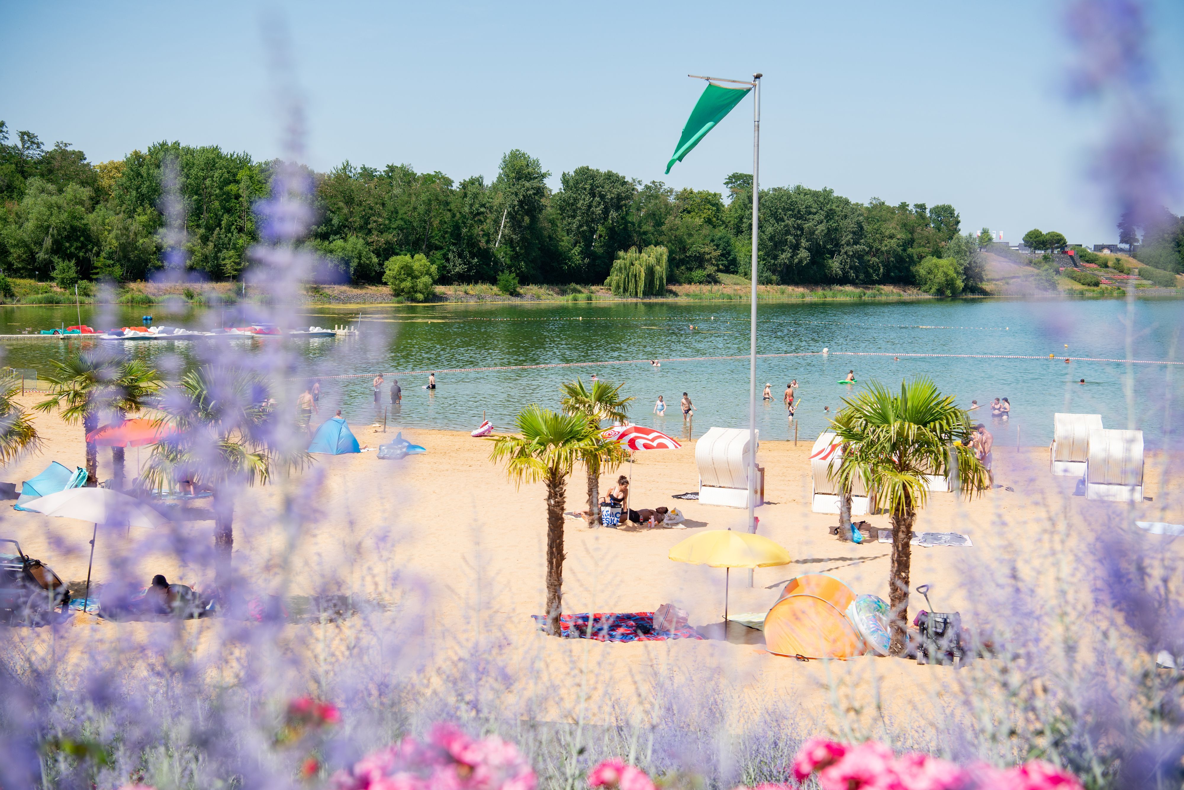 Menschen sitzen  unter Palmen am Strand des Zülpicher Badesees.
