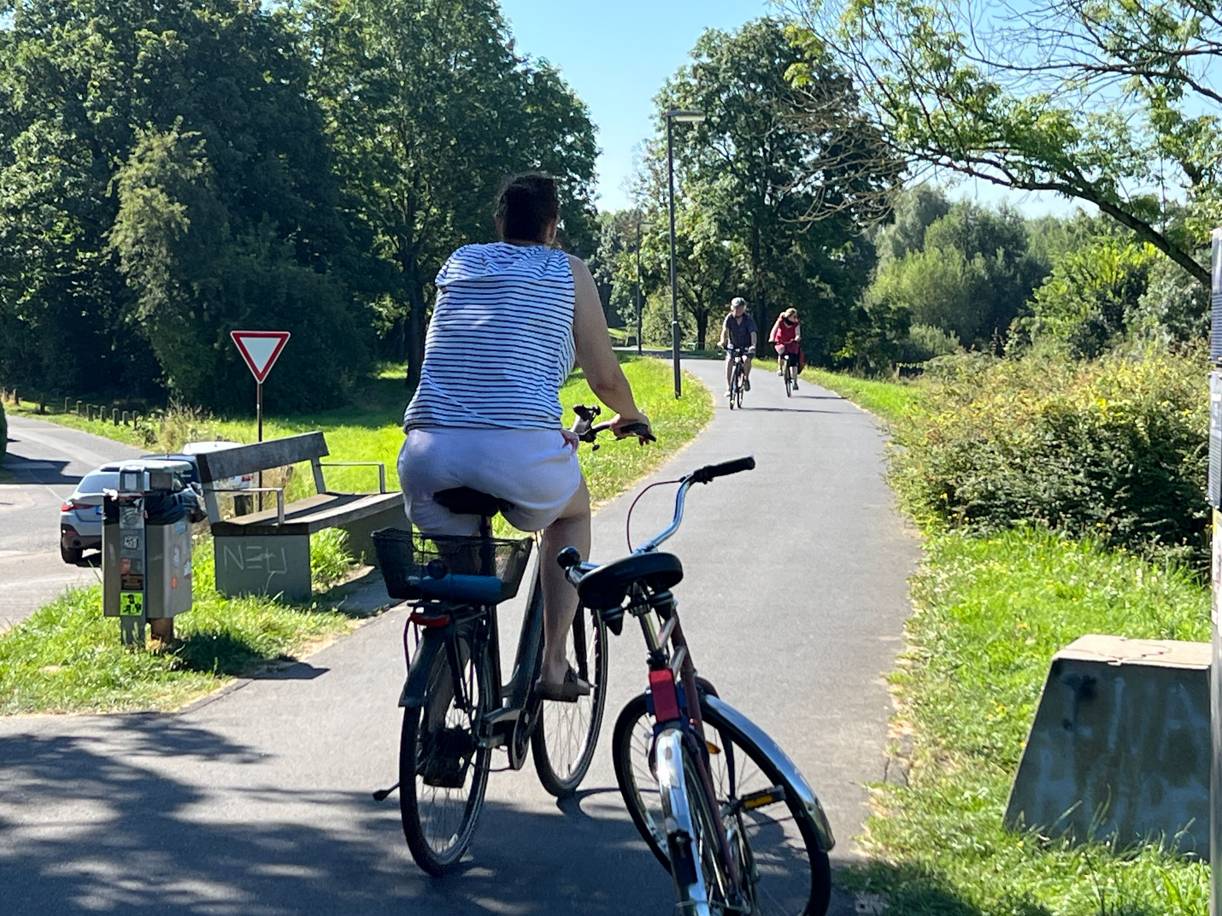 Streckenweise viel zu schmal: Der Rad- und Fußweg auf dem Dhünndeich.