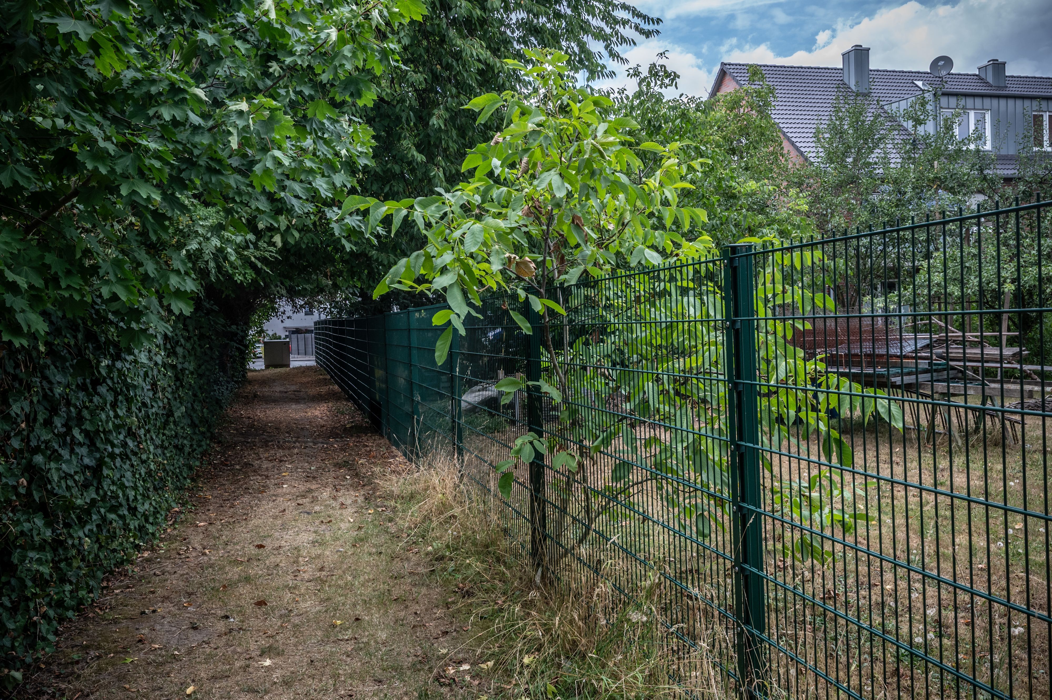 Rheindorf: Die Trasse, die für die Rad-Komfortroute freigehalten worden ist. Bild: Ralf Krieger